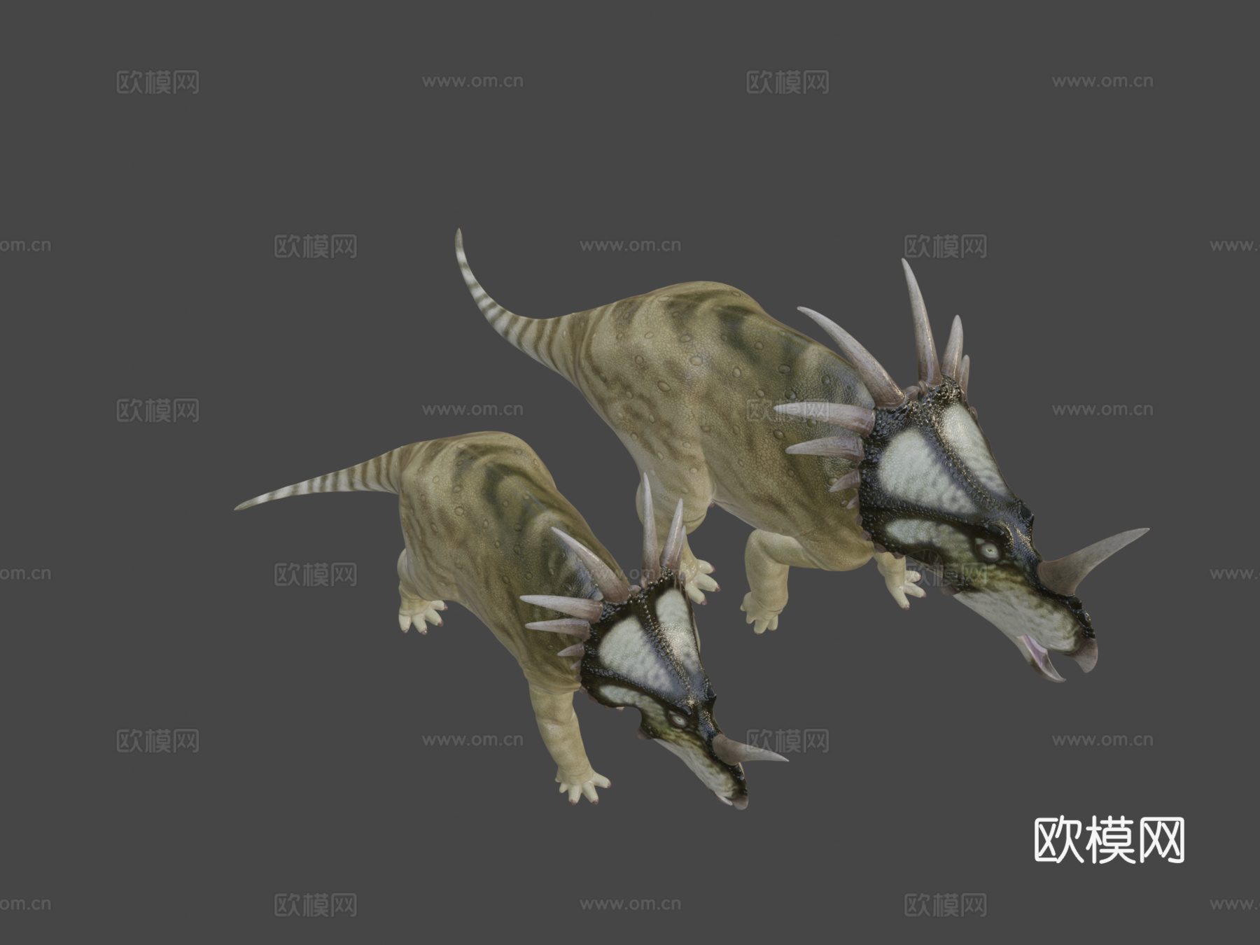 戟龙阿尔伯塔种一对su模型