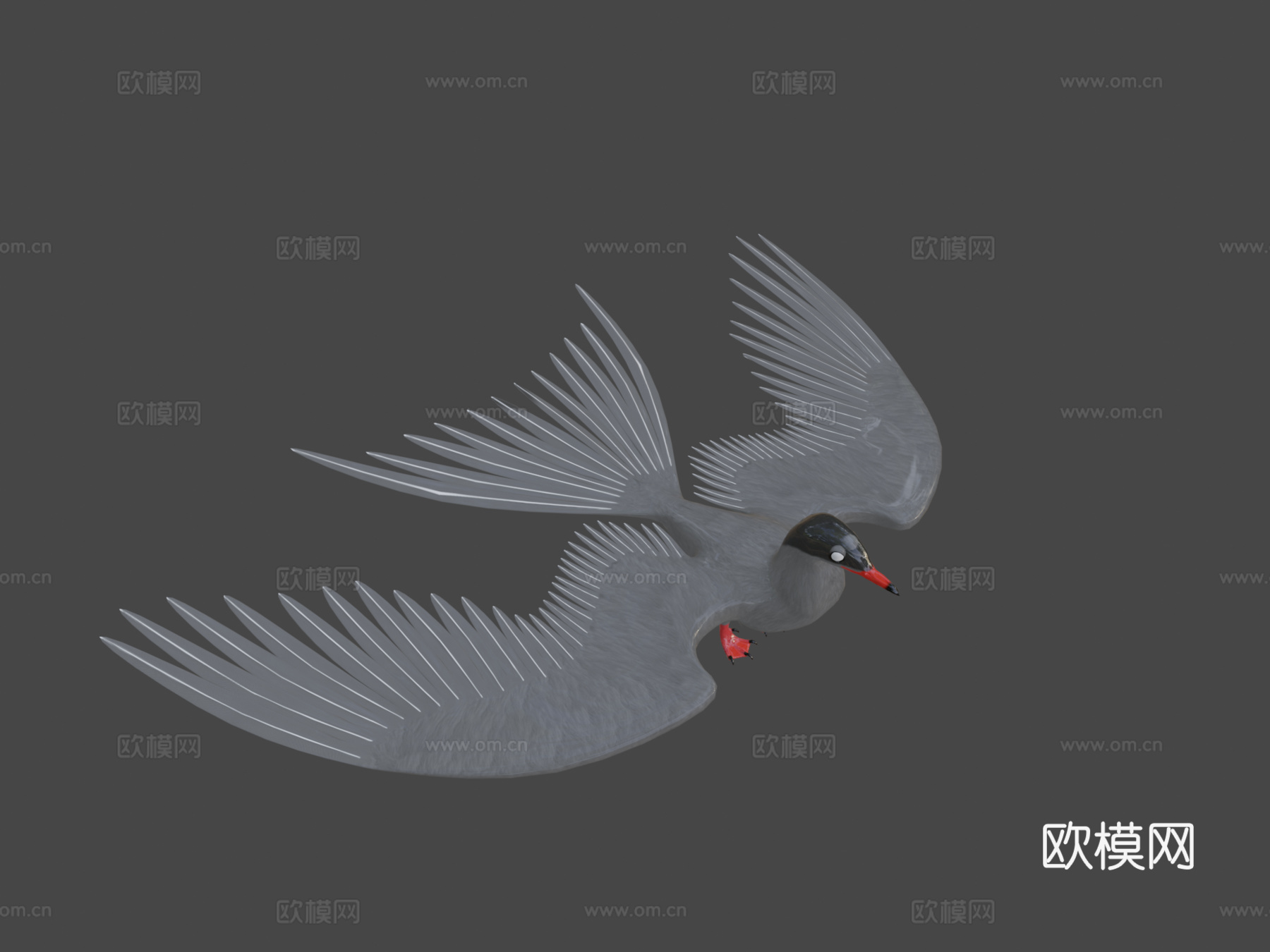 北极燕鸥su模型