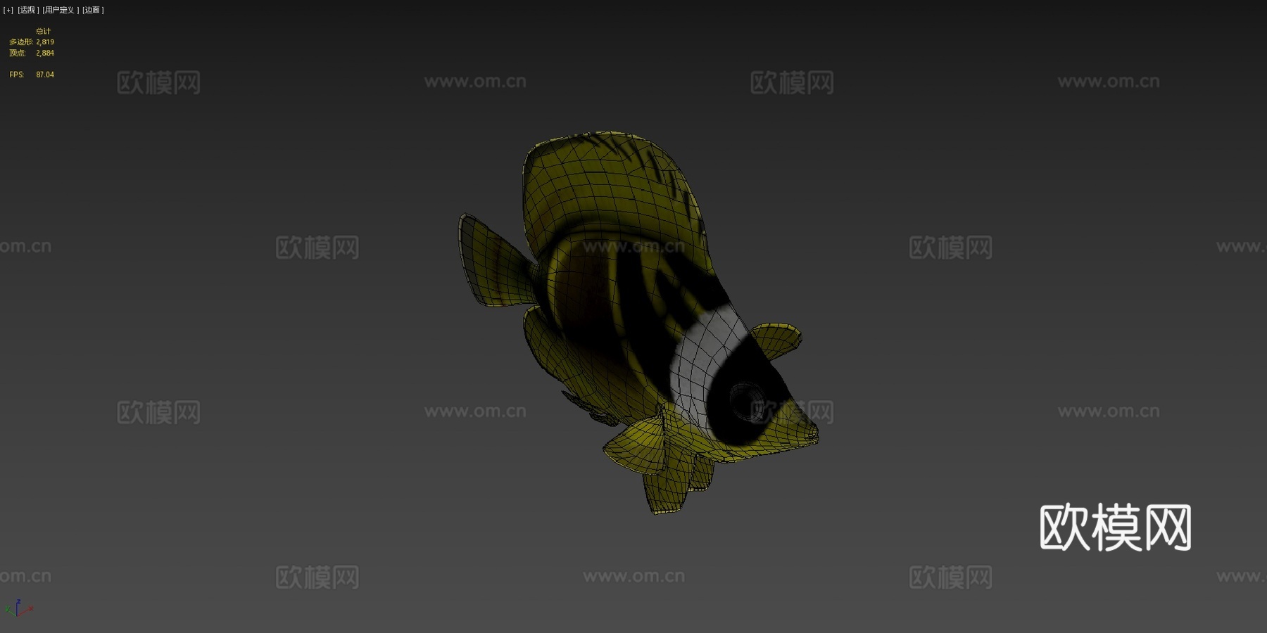 蝴蝶鱼绑定su模型