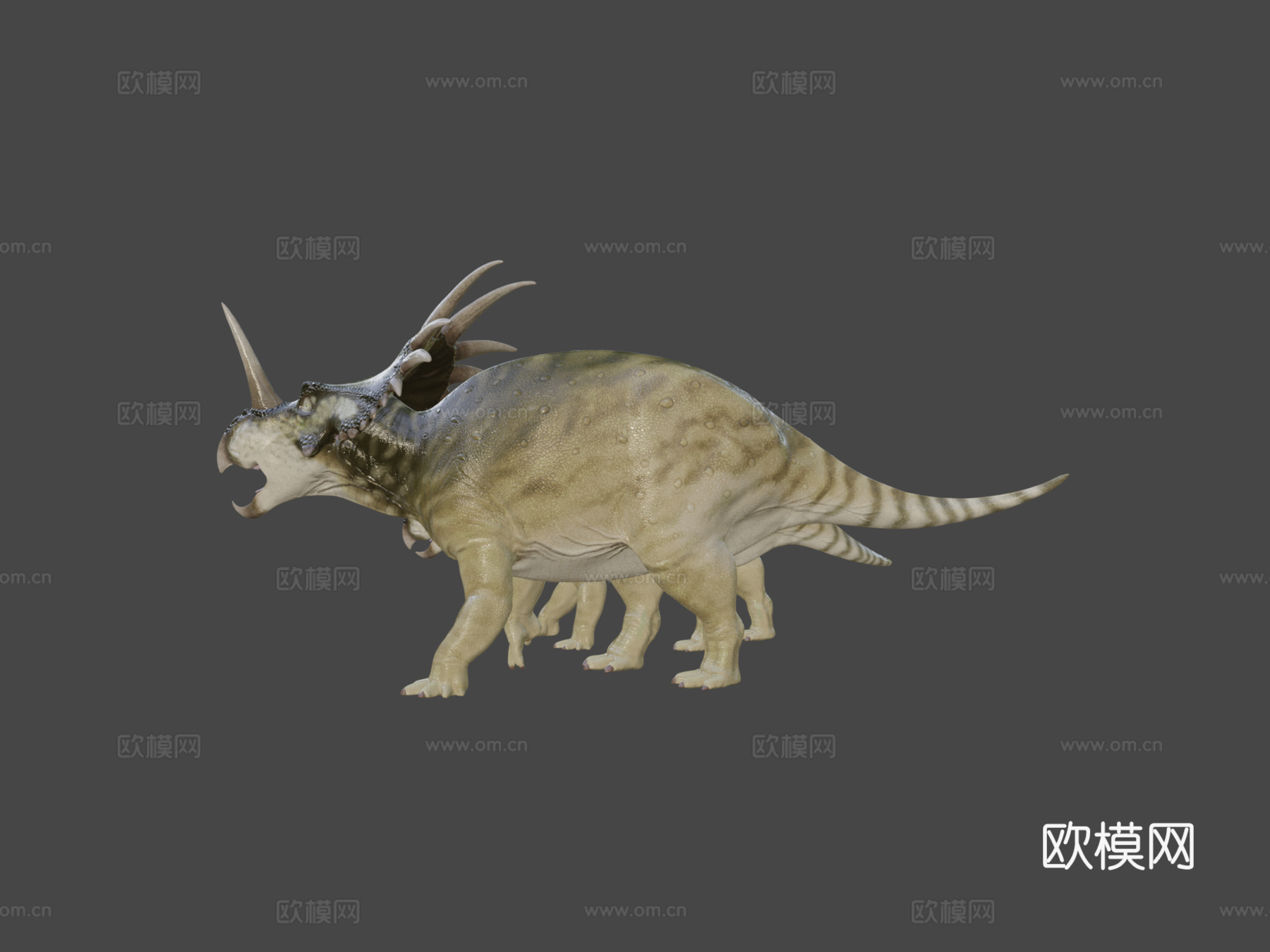 戟龙阿尔伯塔种一对su模型