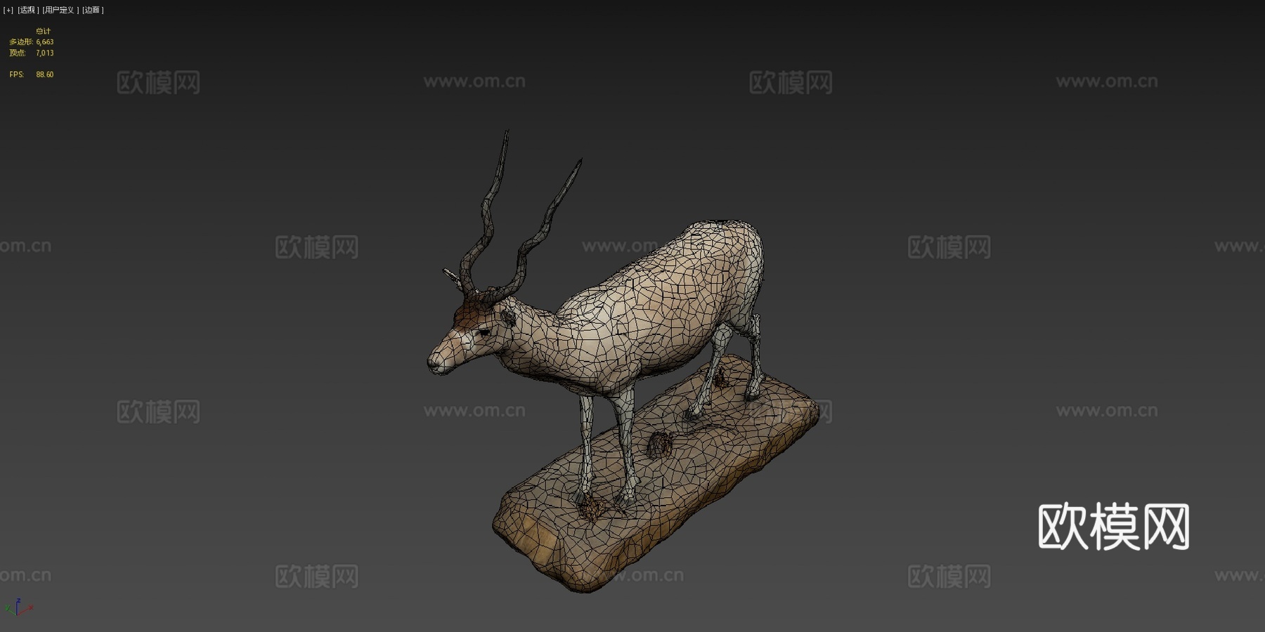 アダックス剥製 曲角羚标本NSMTM32067su模型