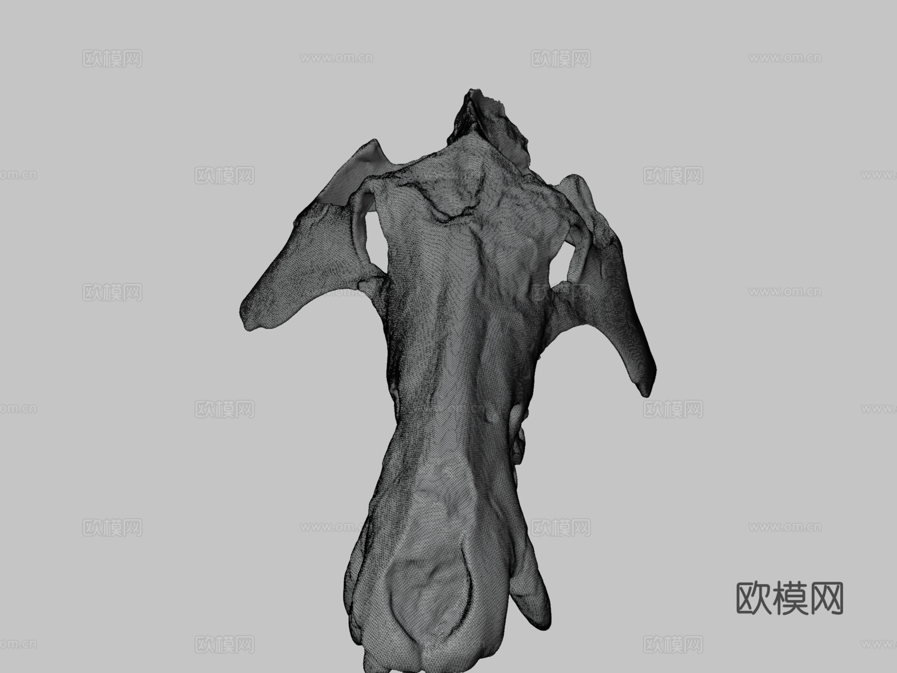 UW6856  古兽莫顿种头骨su模型