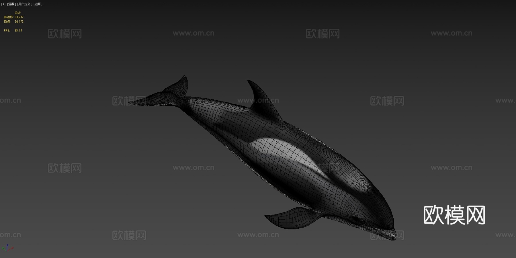 白喙斑纹海豚白喙斑纹海豚su模型