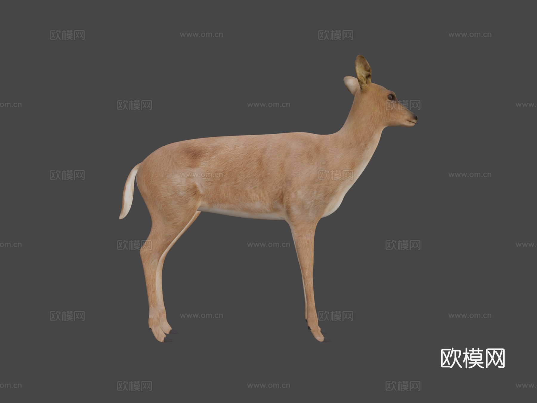 鹿三维su模型