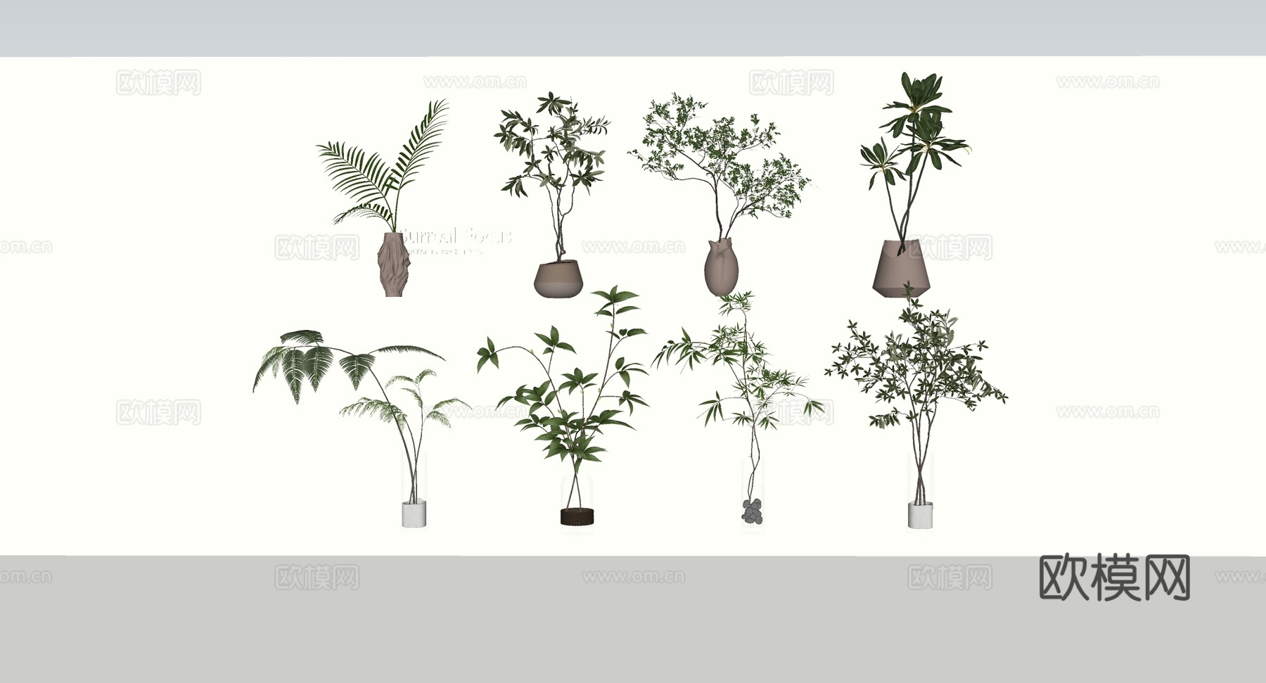 侘寂风水培墙挂植物 陶瓷盆玻璃瓶 网红绿植 茶室软装 盆栽组su模型