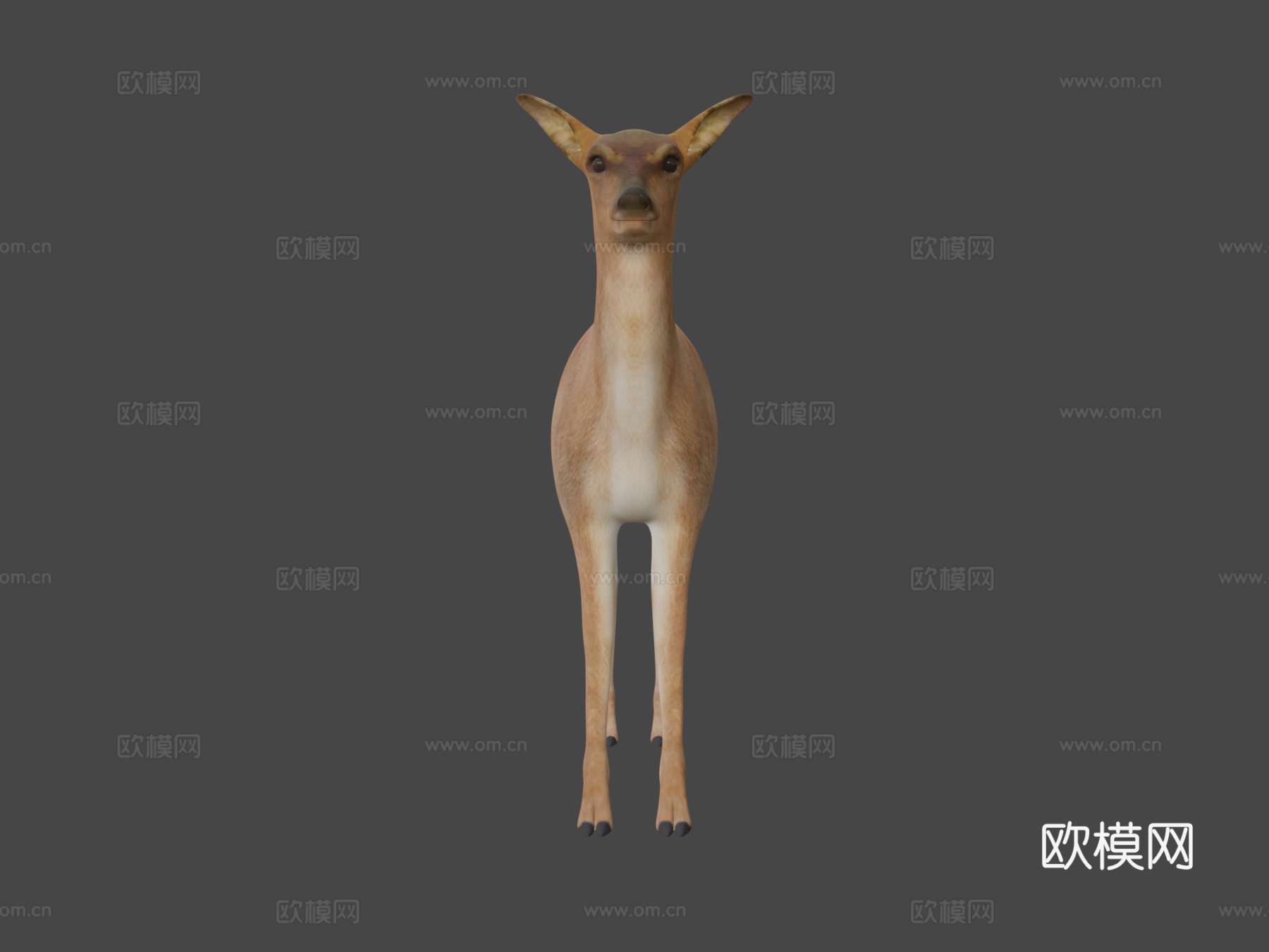 鹿三维su模型