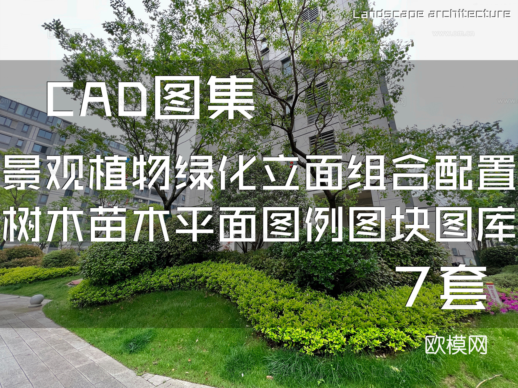 园林景观植物绿化立面组合配置树木苗木平面图例图块图库集 7套cad施工图cad施工图