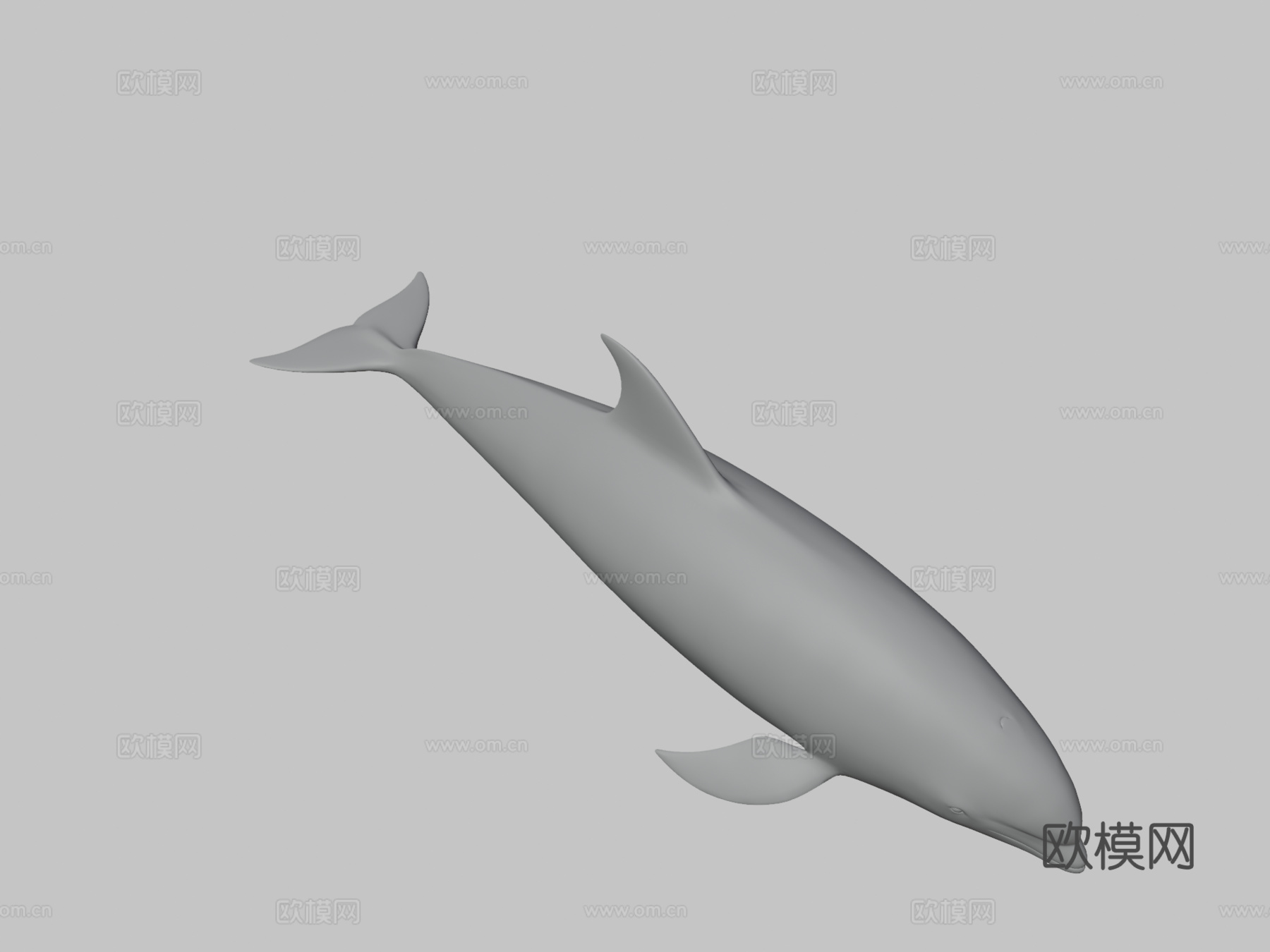 白喙斑纹海豚白喙斑纹海豚su模型