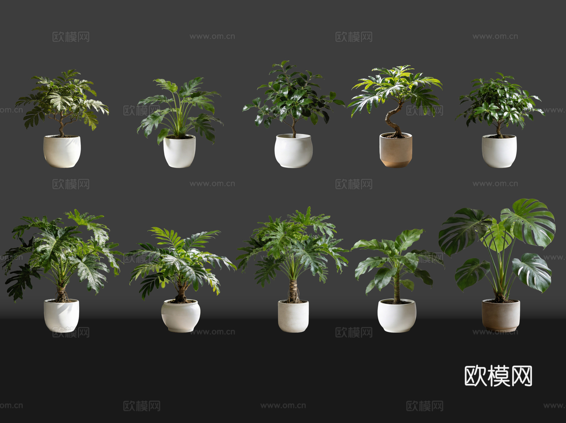 2D绿植盆栽 商场绿化 室内绿植 室内盆栽 盆栽组合 绿植照su模型