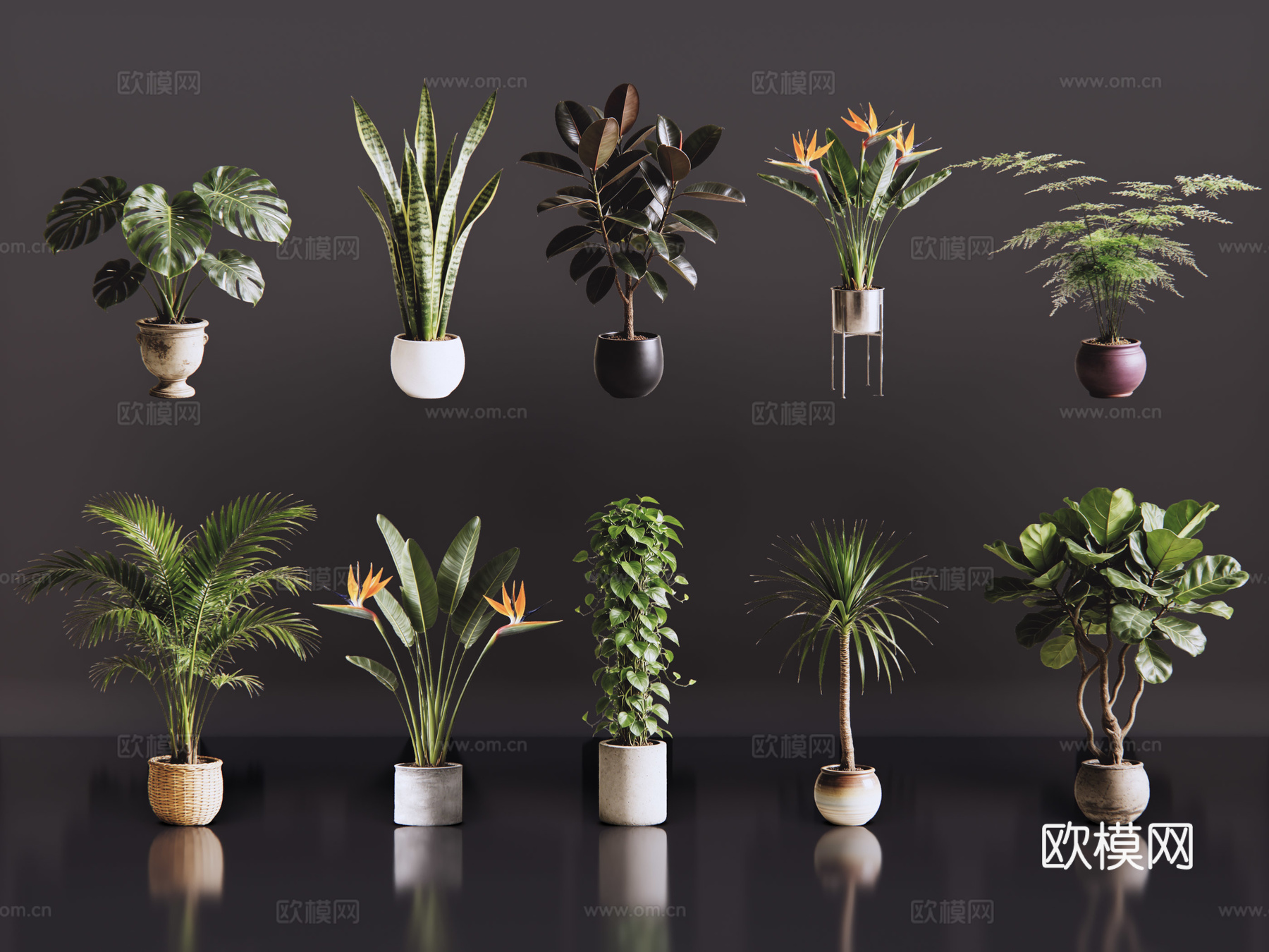 2D绿植盆栽 商场绿化 室内绿植 室内盆栽 盆栽组合 绿植照su模型