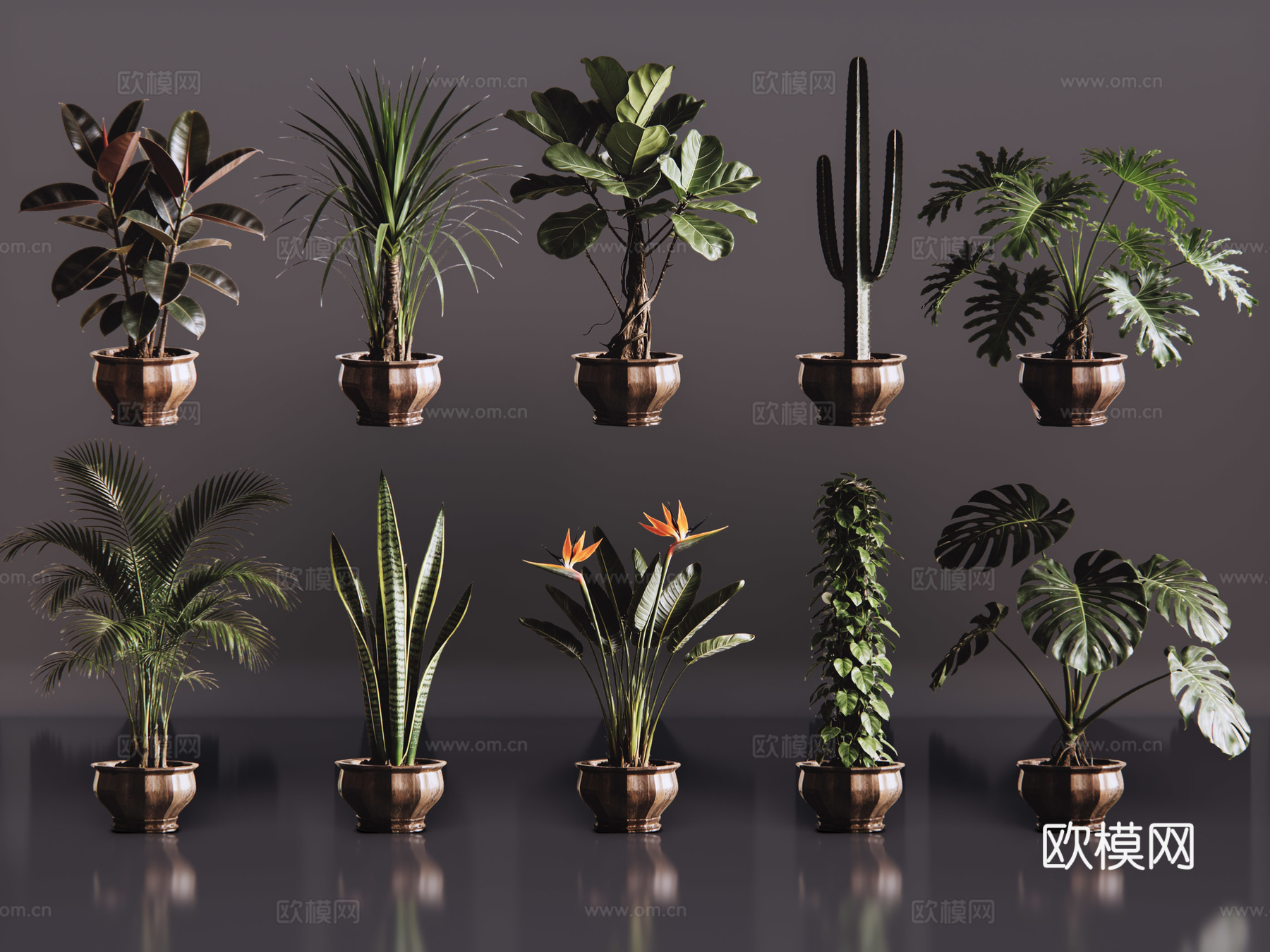 2D绿植盆栽 商场绿化 室内绿植 室内盆栽 盆栽组合 绿植照su模型