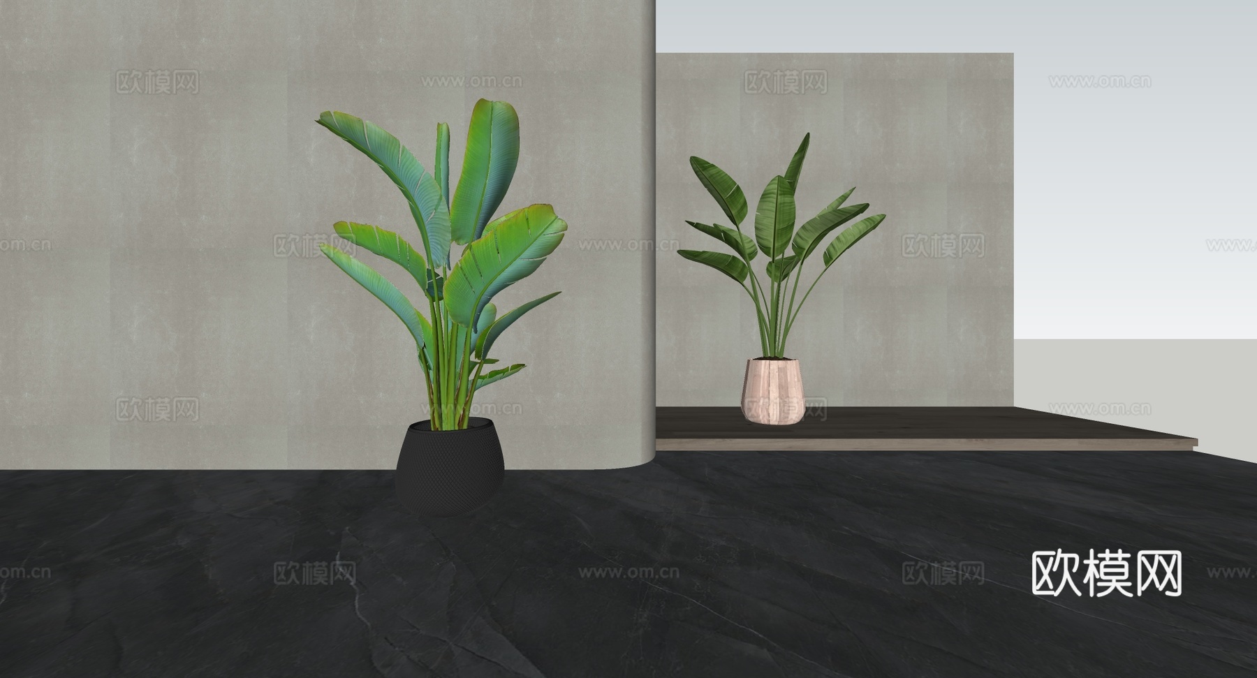 侘寂风室内绿植 琴叶榕 龙血树 花盆 绿植造景场景  光影盆su模型