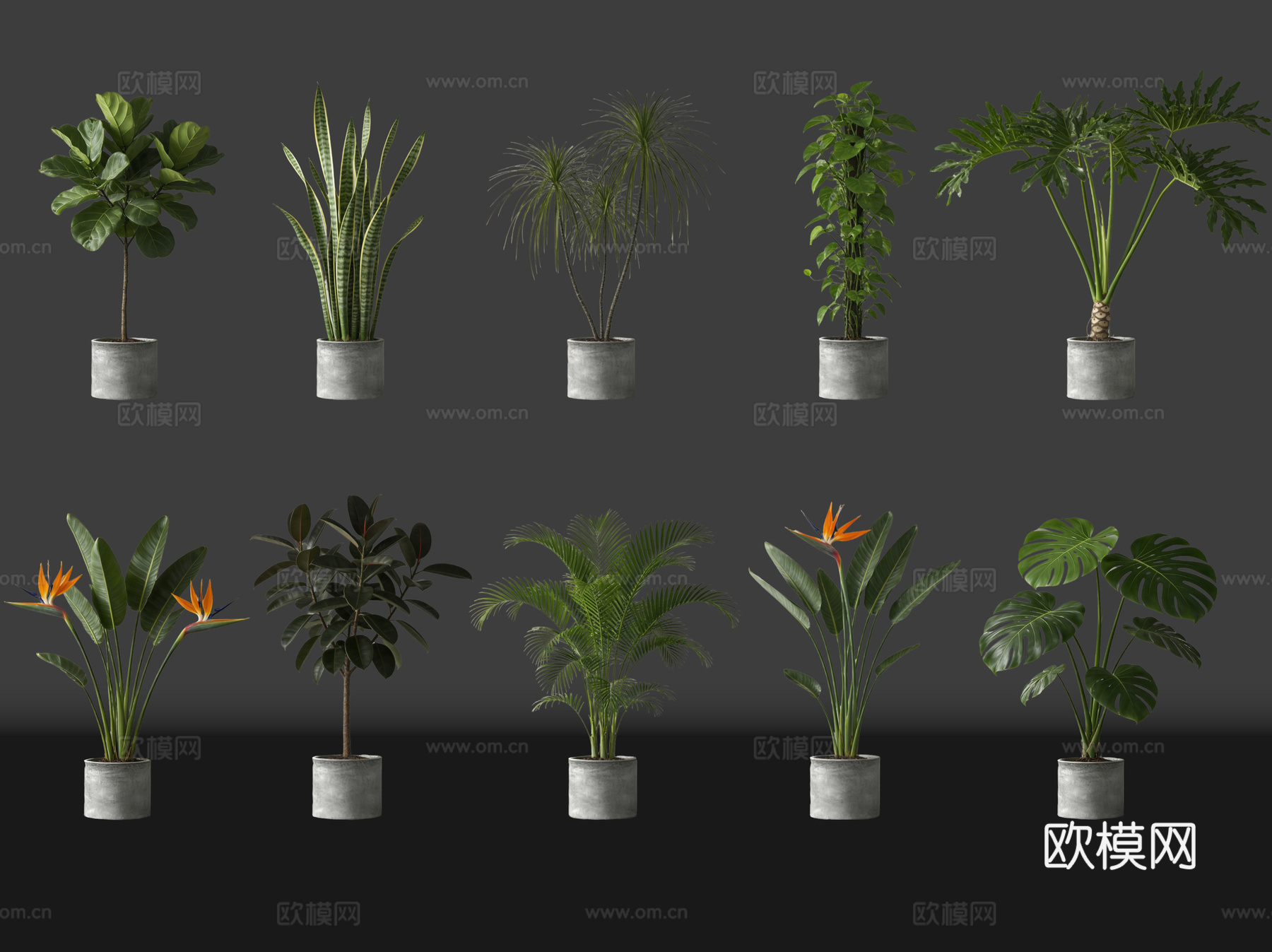 2D绿植盆栽 商场绿化 室内绿植 室内盆栽 盆栽组合 绿植照su模型