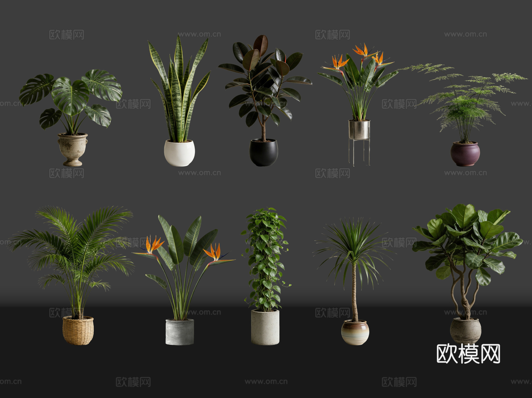 2D绿植盆栽 商场绿化 室内绿植 室内盆栽 盆栽组合 绿植照su模型