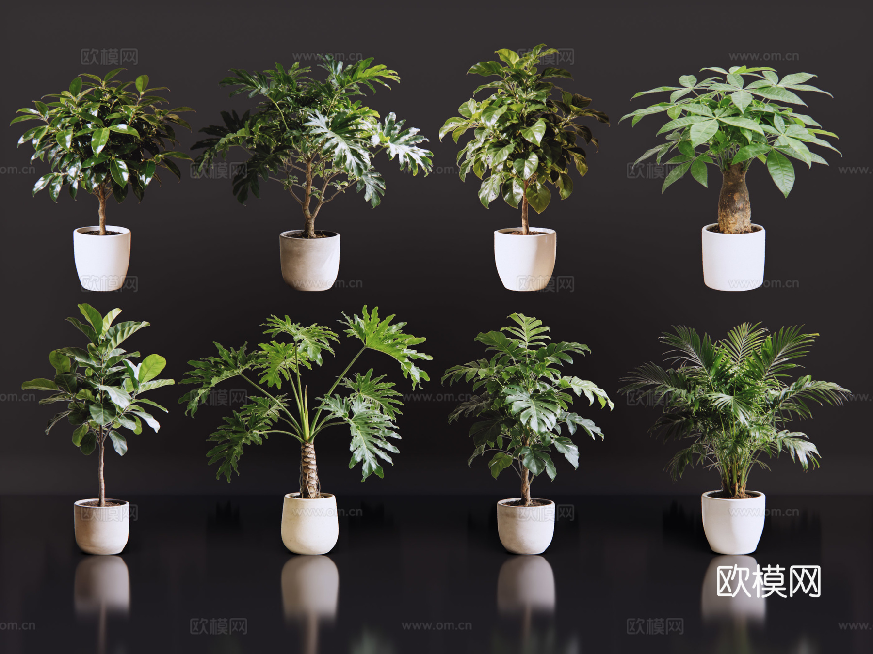 2D绿植盆栽 商场绿化 室内绿植 室内盆栽 盆栽组合 绿植照su模型