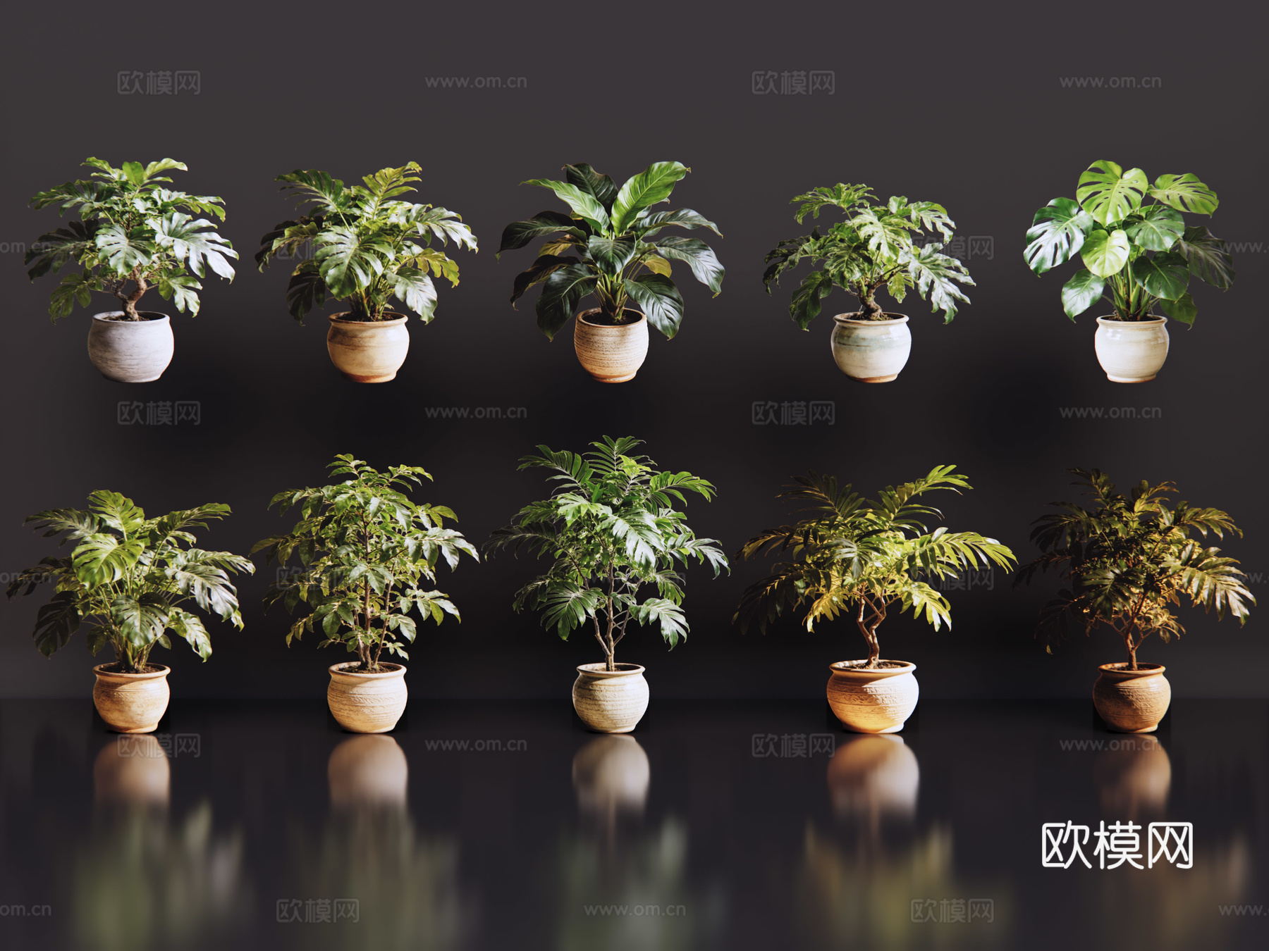 2D绿植盆栽 商场绿化 室内绿植 室内盆栽 盆栽组合 绿植照su模型