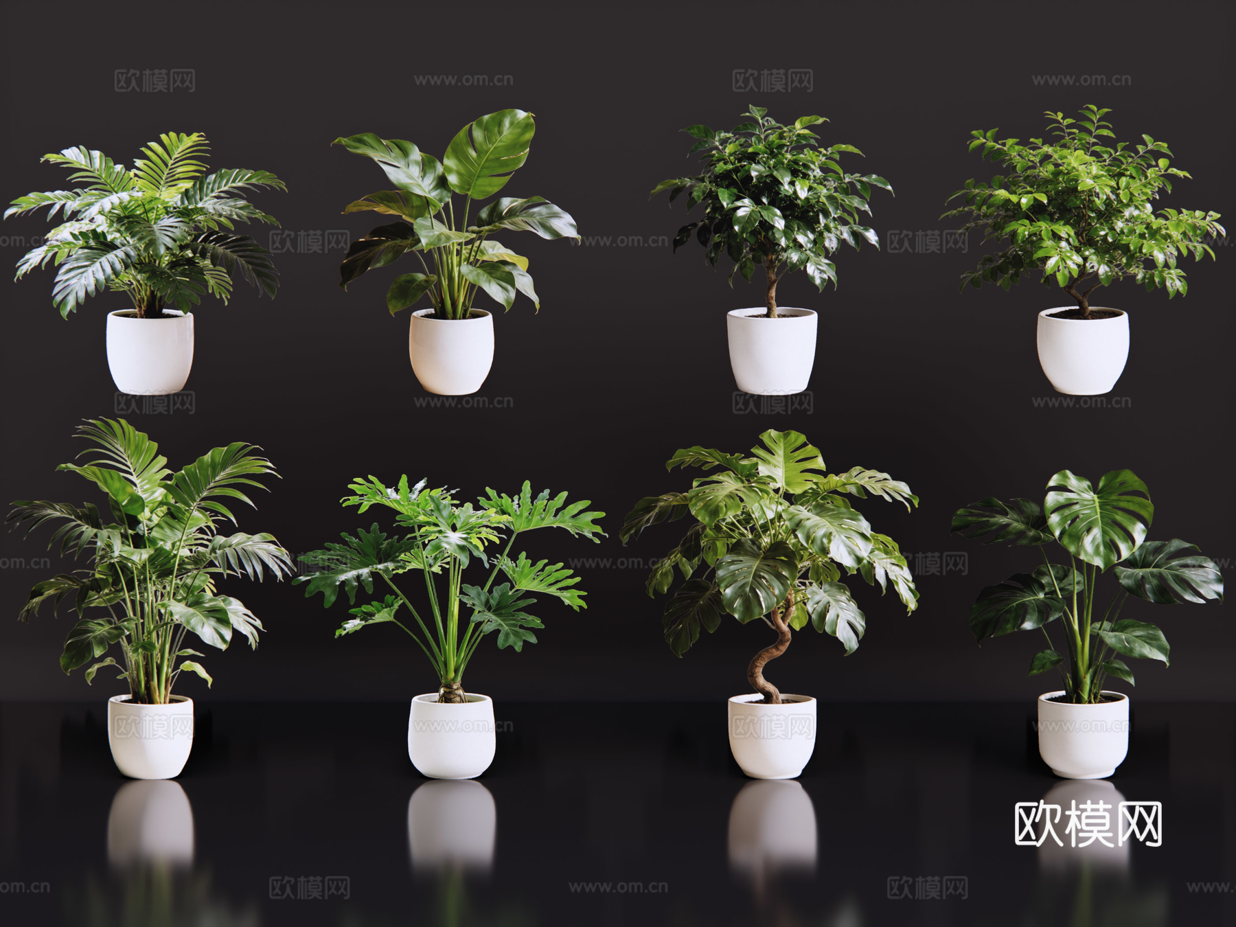 2D绿植盆栽 商场绿化 室内绿植 室内盆栽 盆栽组合 绿植照su模型