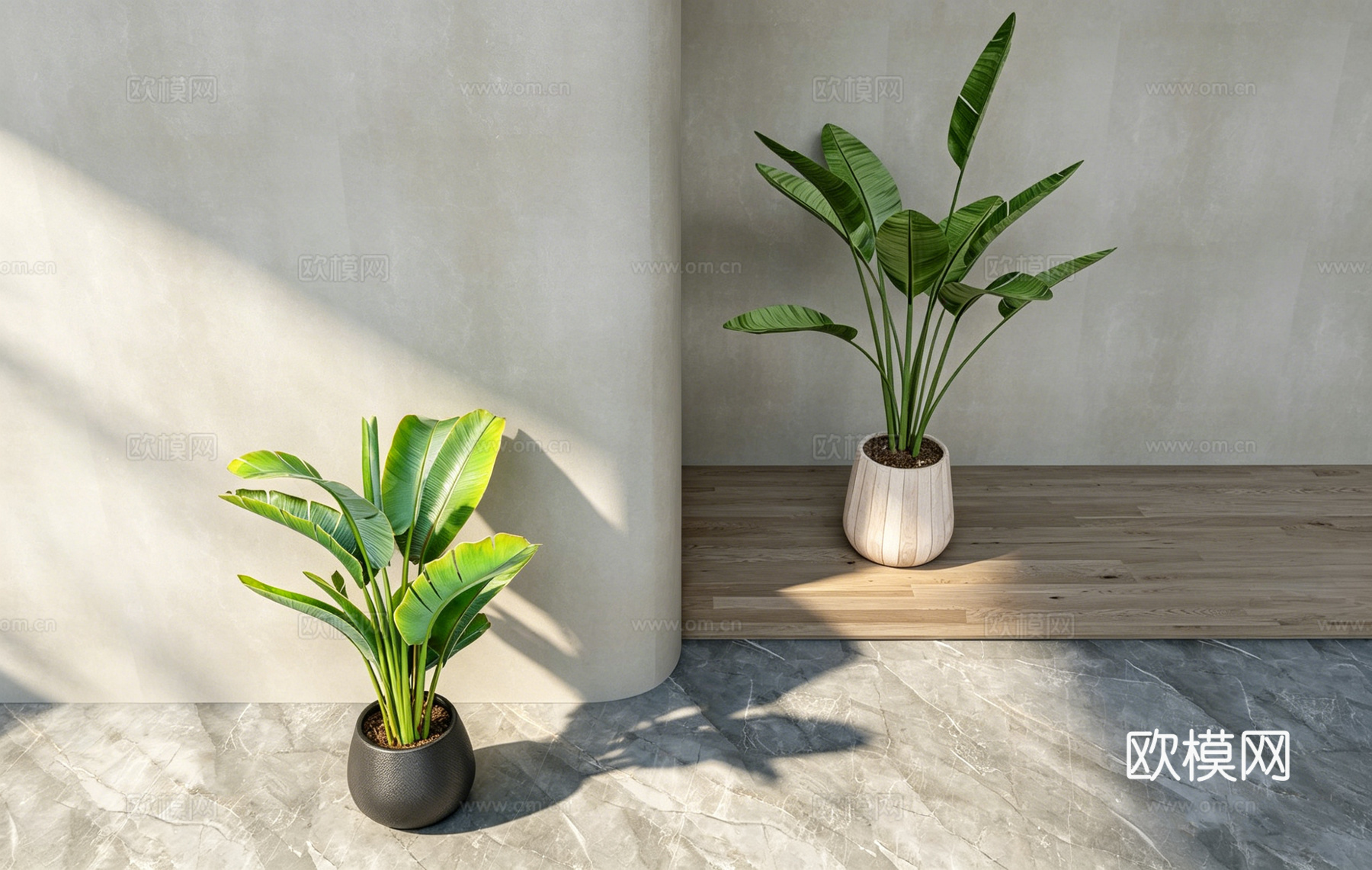 侘寂风室内绿植 琴叶榕 龙血树 花盆 绿植造景场景  光影盆su模型