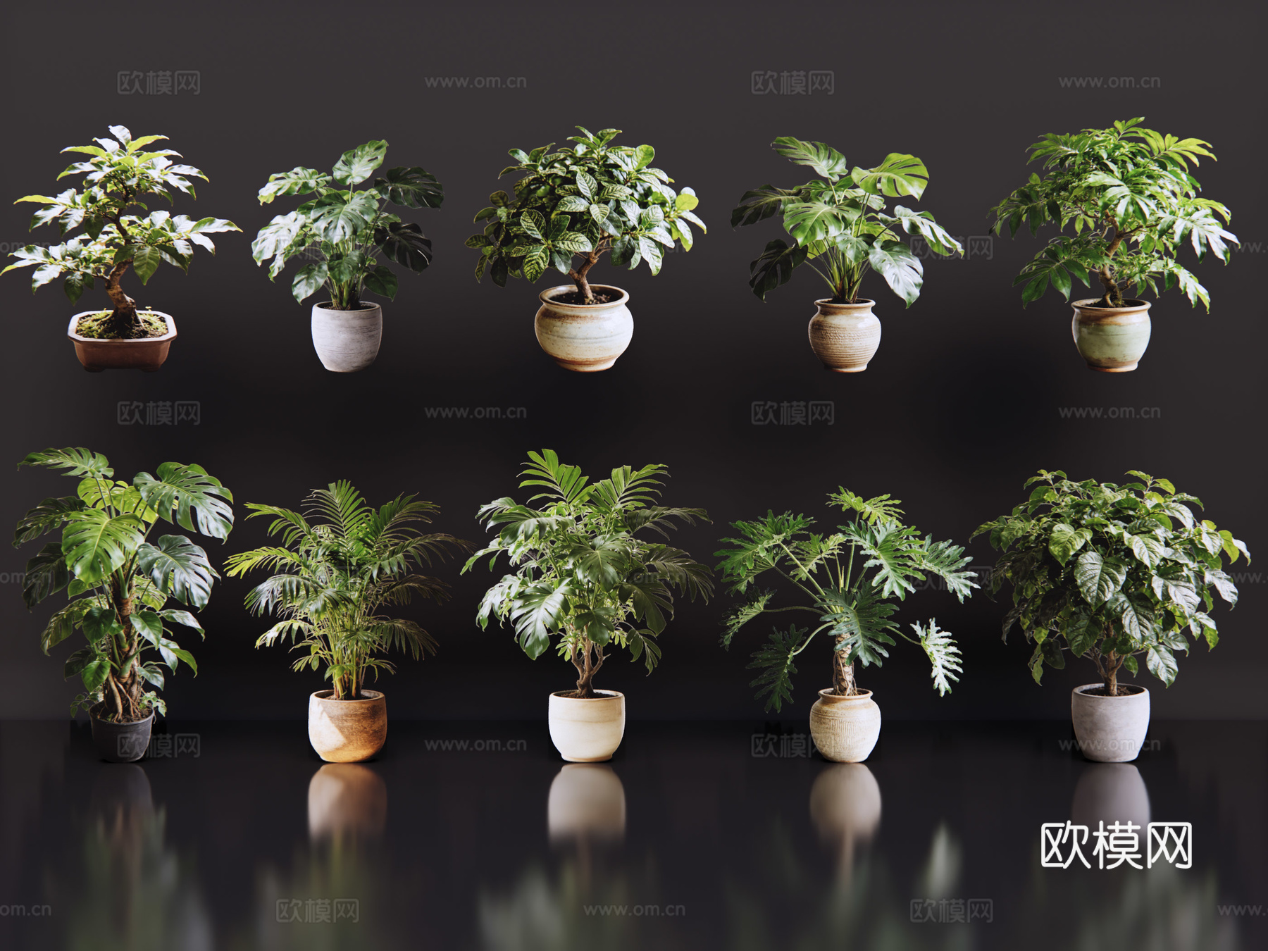 2D绿植盆栽 商场绿化 室内绿植 室内盆栽 盆栽组合 绿植照su模型