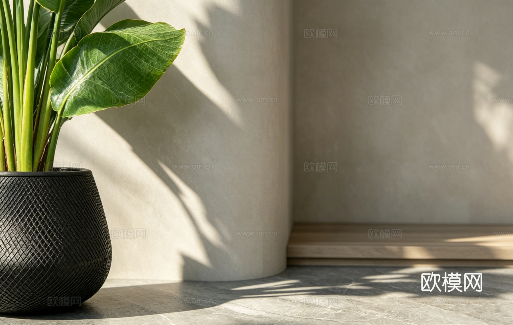 侘寂风室内绿植 琴叶榕 龙血树 花盆 绿植造景场景  光影盆su模型