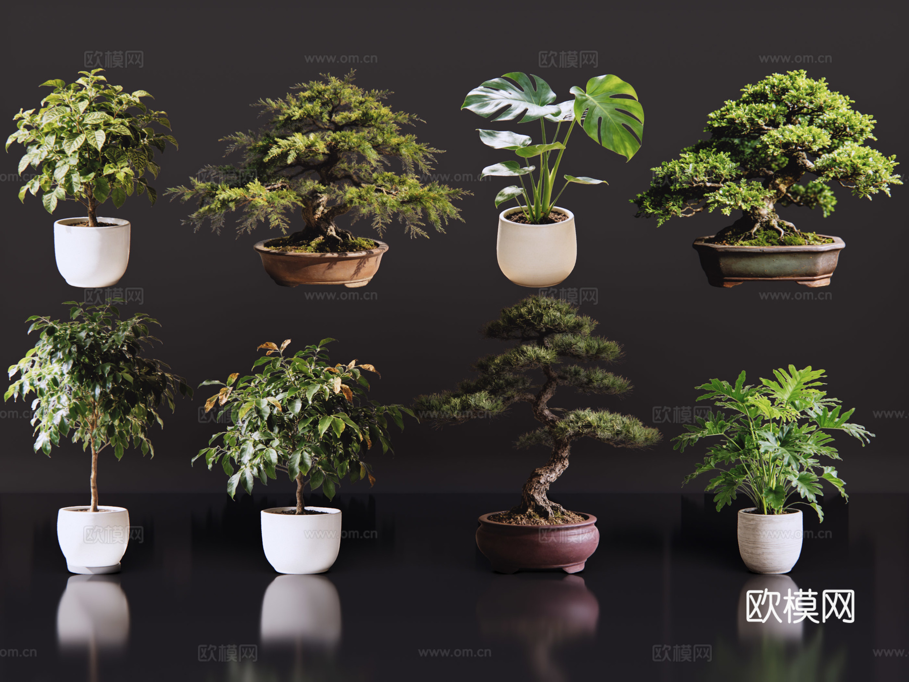 2D绿植盆栽 商场绿化 室内绿植 室内盆栽 盆栽组合 绿植照su模型