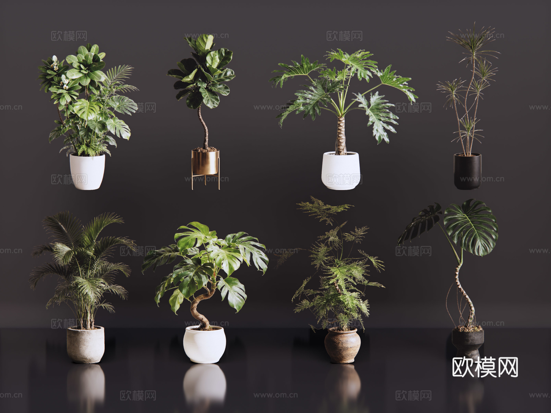 2D绿植盆栽 商场绿化 室内绿植 室内盆栽 盆栽组合 绿植照su模型