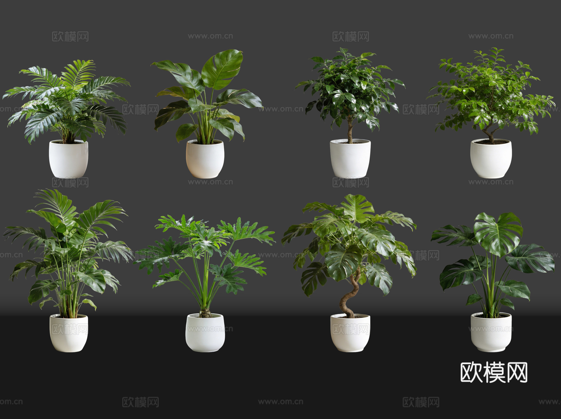 2D绿植盆栽 商场绿化 室内绿植 室内盆栽 盆栽组合 绿植照su模型