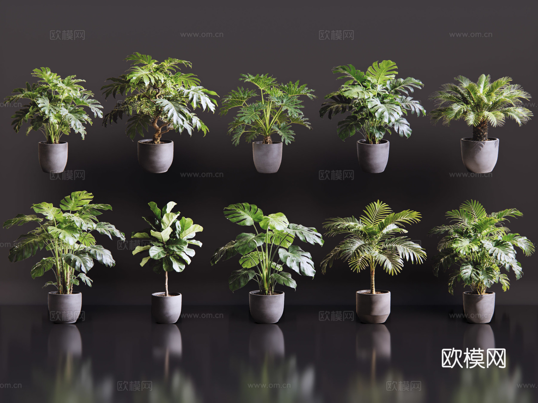 2D绿植盆栽 商场绿化 室内绿植 室内盆栽 盆栽组合 绿植照su模型