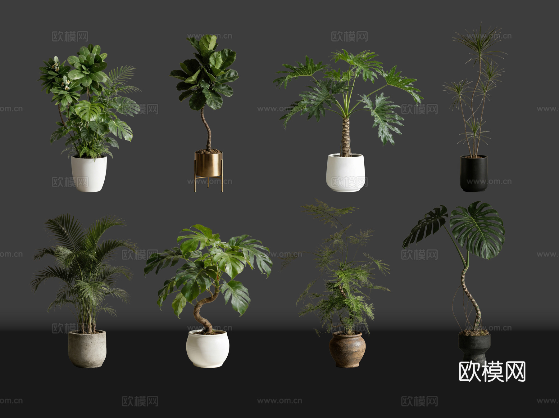 2D绿植盆栽 商场绿化 室内绿植 室内盆栽 盆栽组合 绿植照su模型