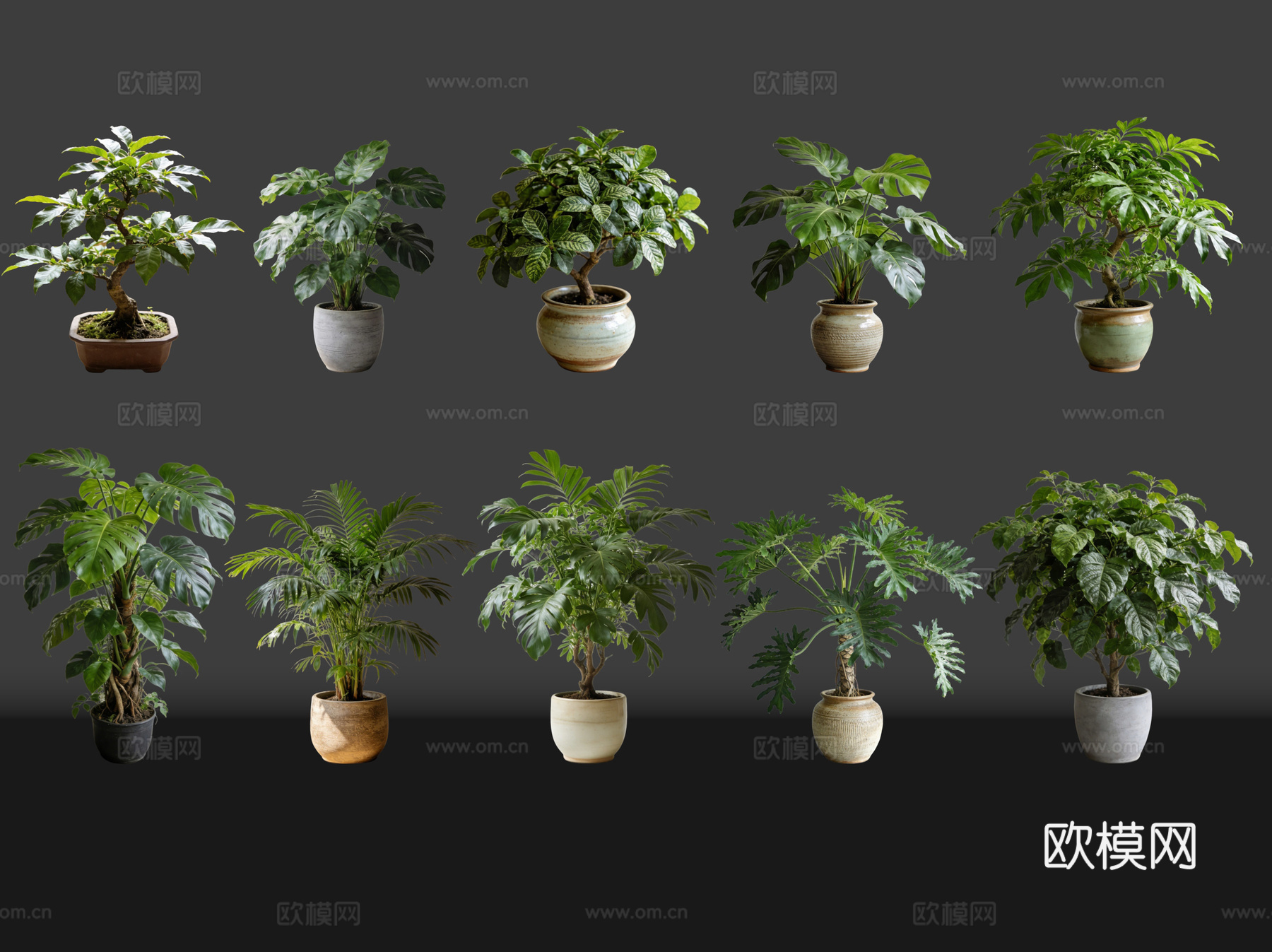 2D绿植盆栽 商场绿化 室内绿植 室内盆栽 盆栽组合 绿植照su模型