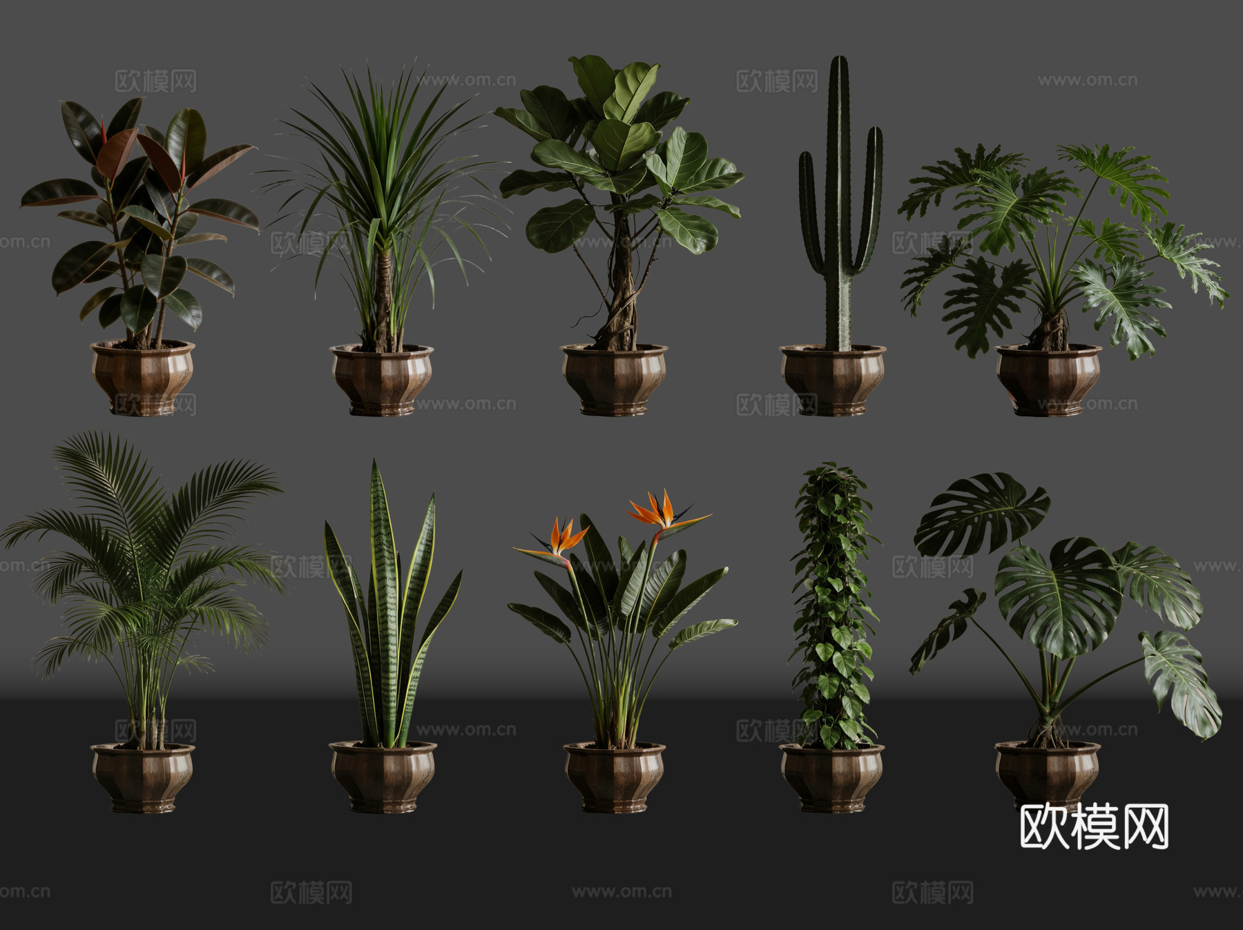 2D绿植盆栽 商场绿化 室内绿植 室内盆栽 盆栽组合 绿植照su模型