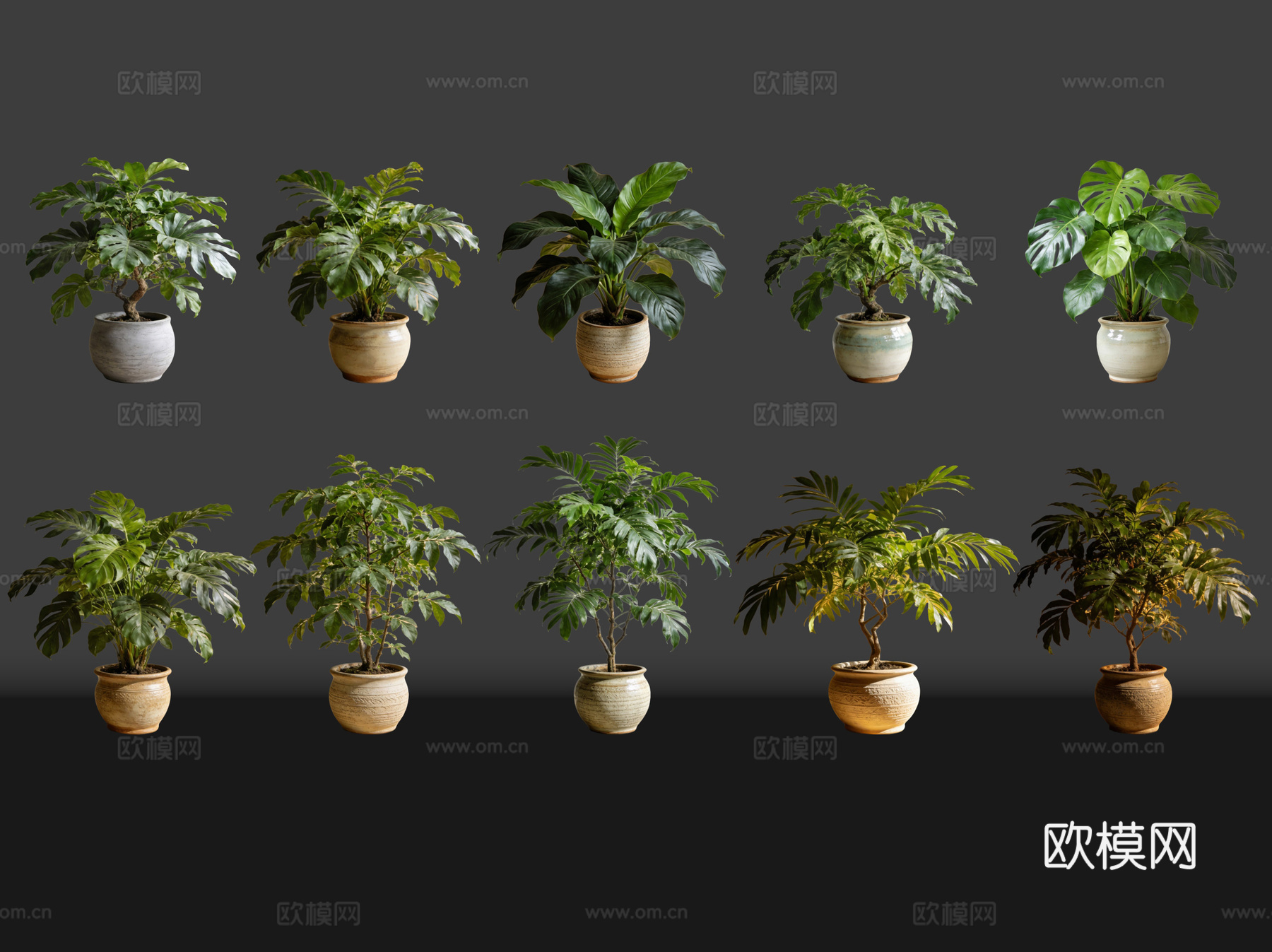 2D绿植盆栽 商场绿化 室内绿植 室内盆栽 盆栽组合 绿植照su模型