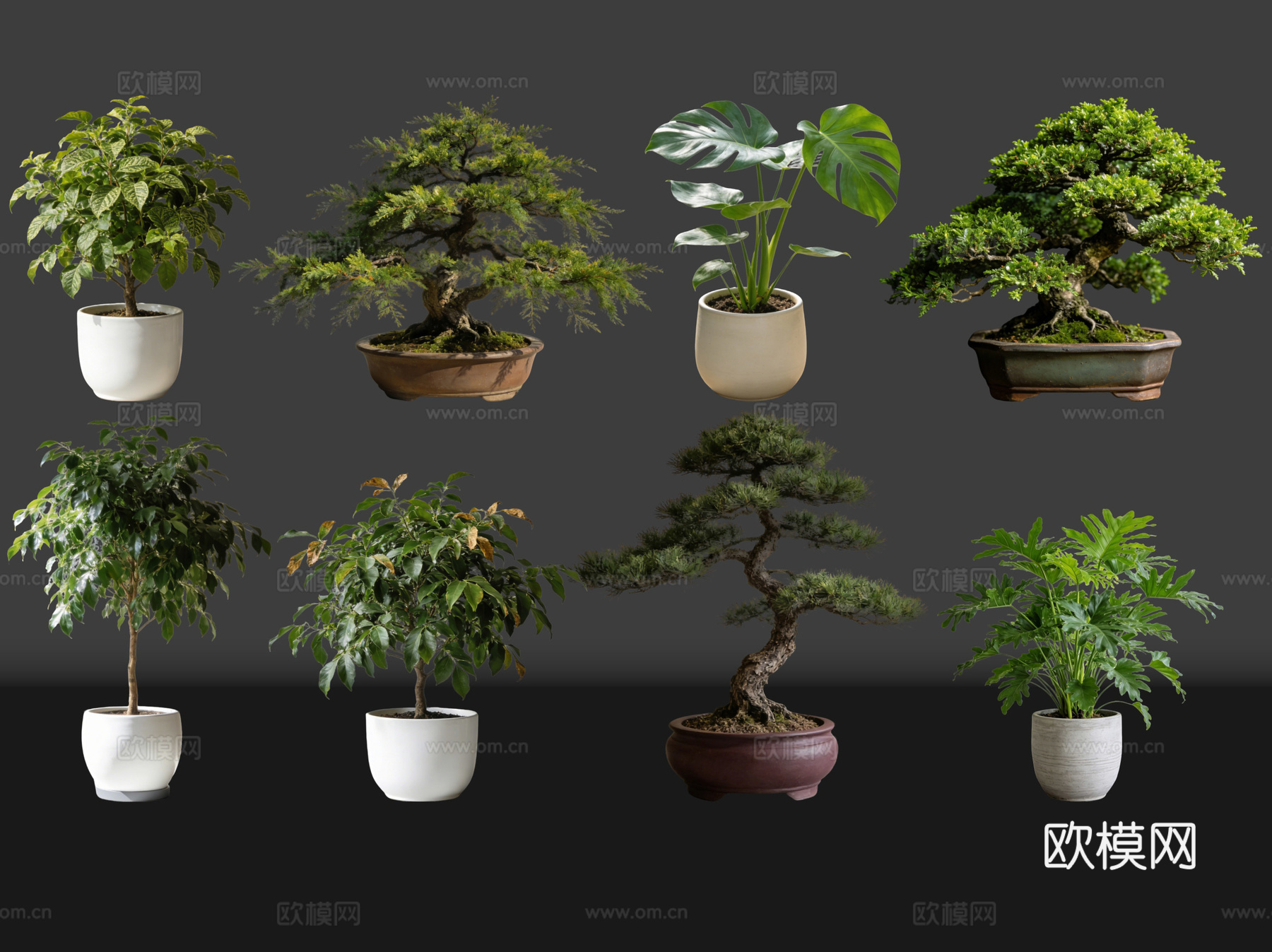 2D绿植盆栽 商场绿化 室内绿植 室内盆栽 盆栽组合 绿植照su模型