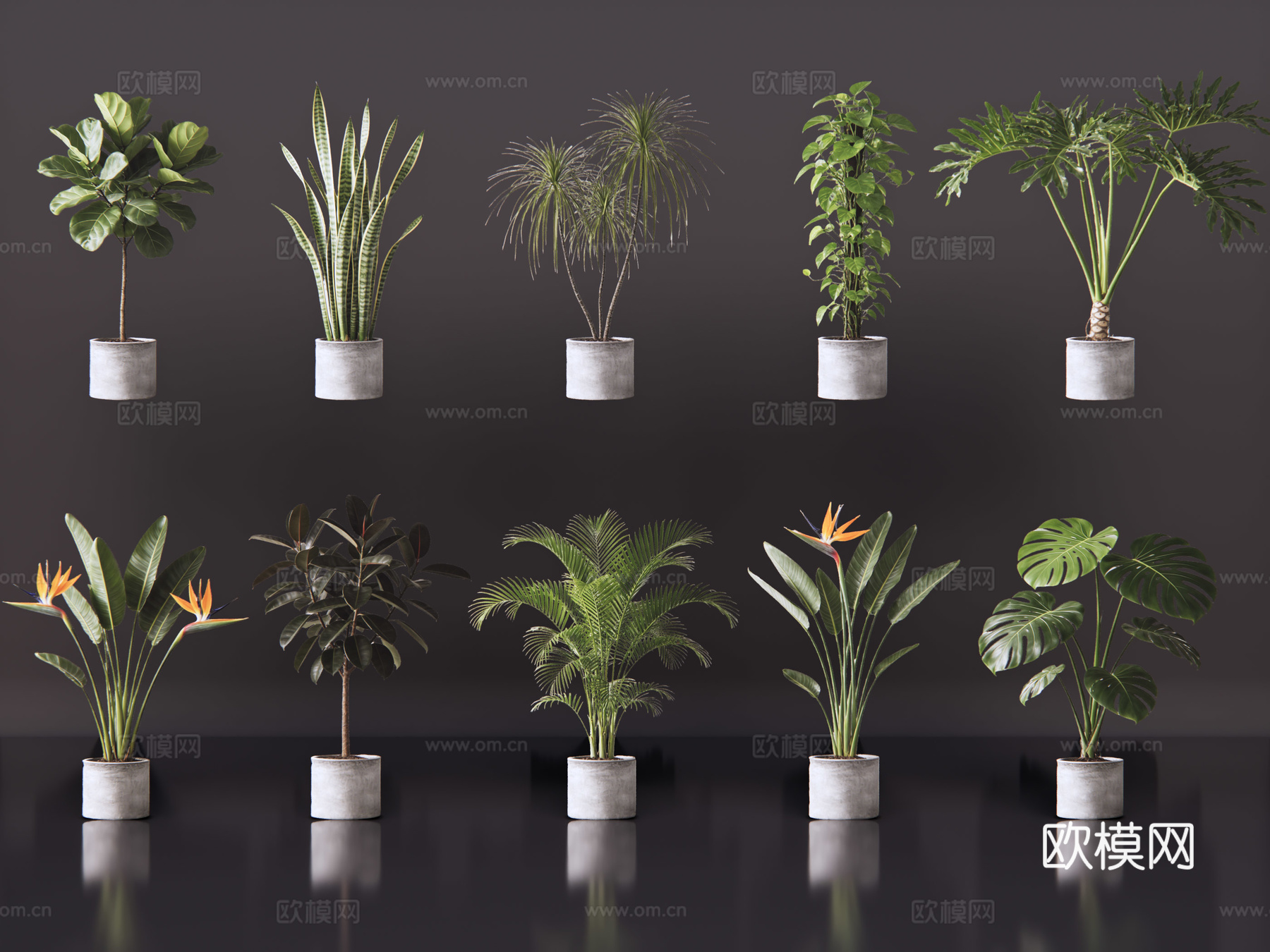 2D绿植盆栽 商场绿化 室内绿植 室内盆栽 盆栽组合 绿植照su模型