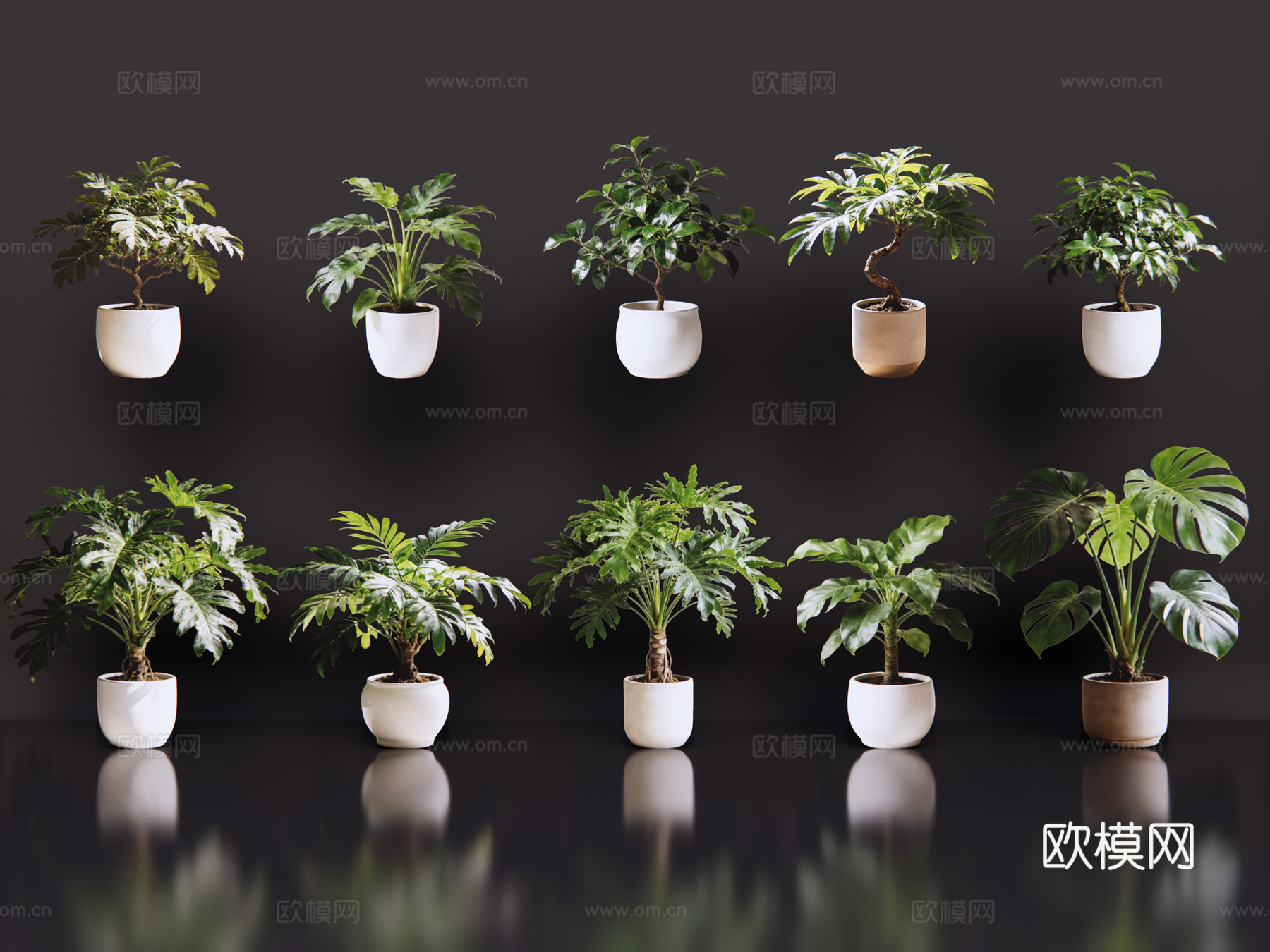 2D绿植盆栽 商场绿化 室内绿植 室内盆栽 盆栽组合 绿植照su模型