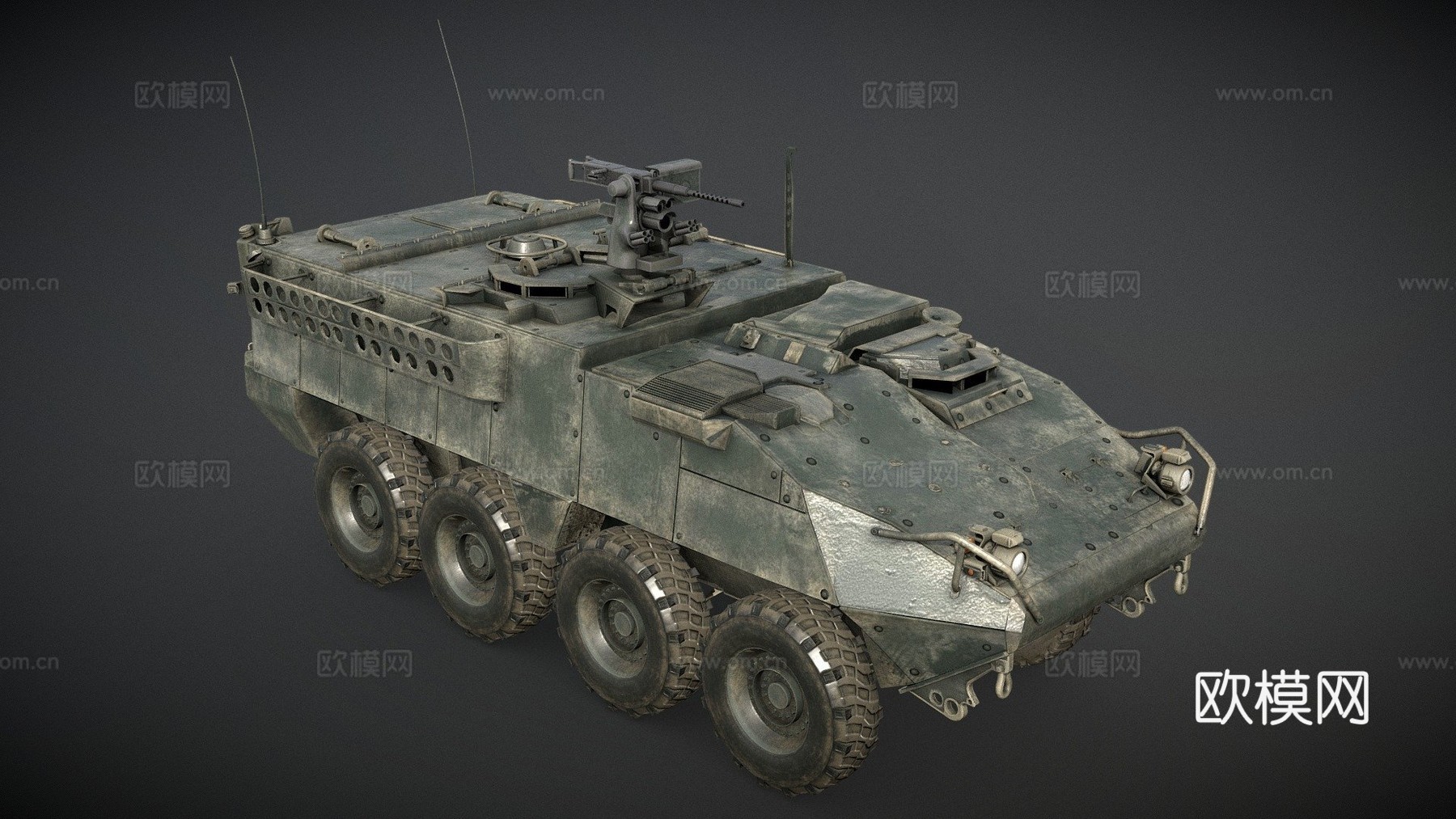 斯特赖克su模型