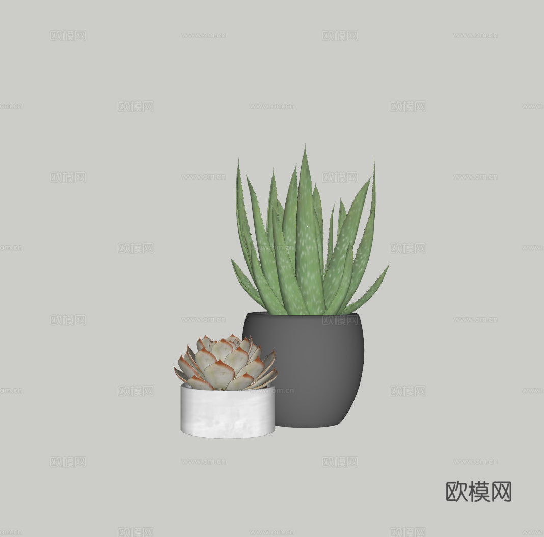 绿植盆栽多肉su模型