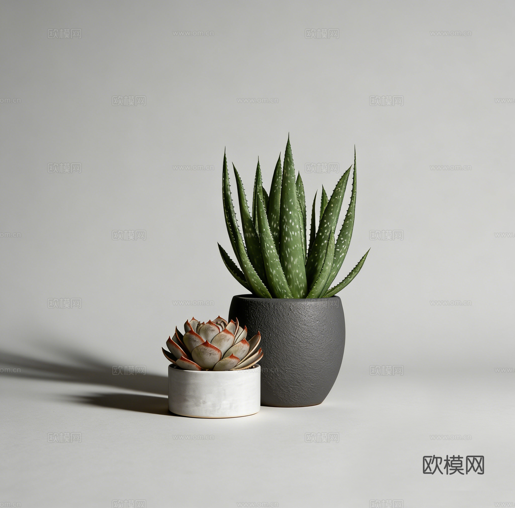 绿植盆栽多肉su模型