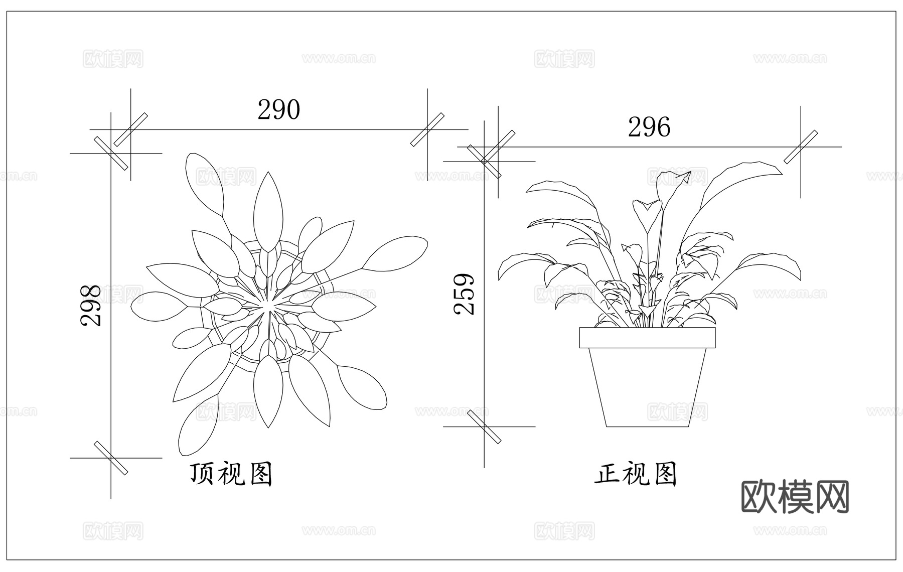 山丹 强瞿 中庭 摩罗 百合蒜cad施工图