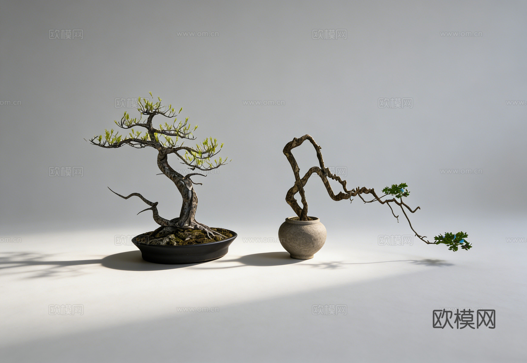 禅意盆景su模型