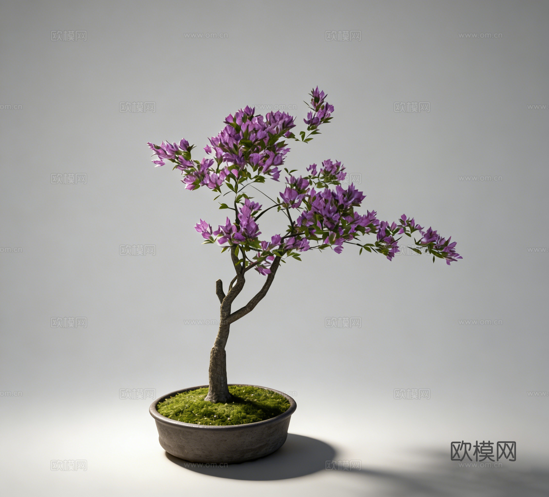 植物盆栽su模型