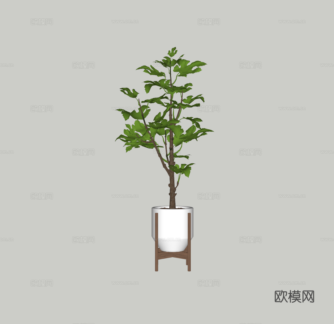 绿植盆栽su模型