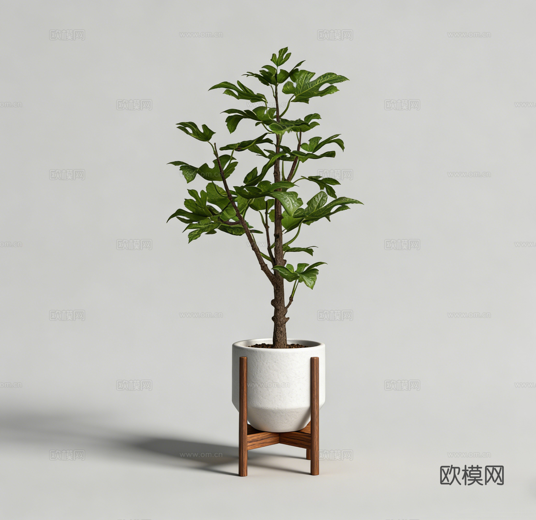 绿植盆栽su模型