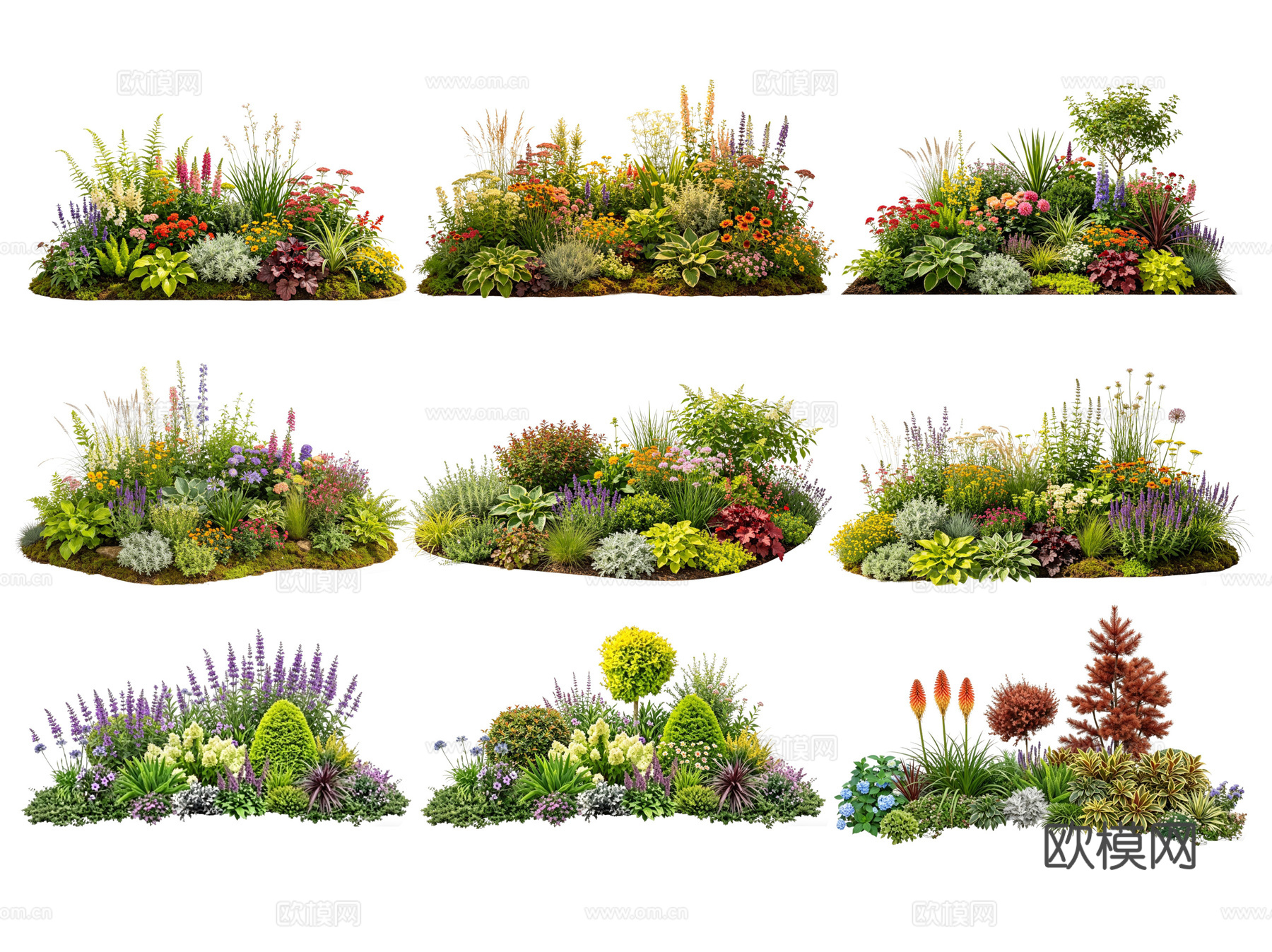 2D花境植物组团 花卉花镜 花草镜植物组合 花草花丛 地被su模型