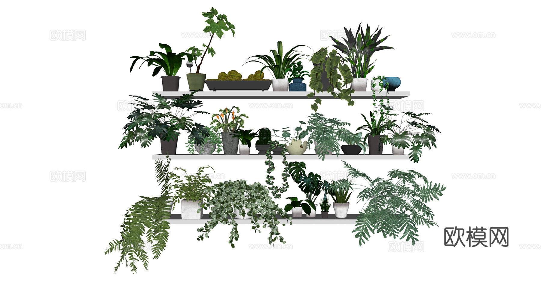 盆栽景观绿植su模型