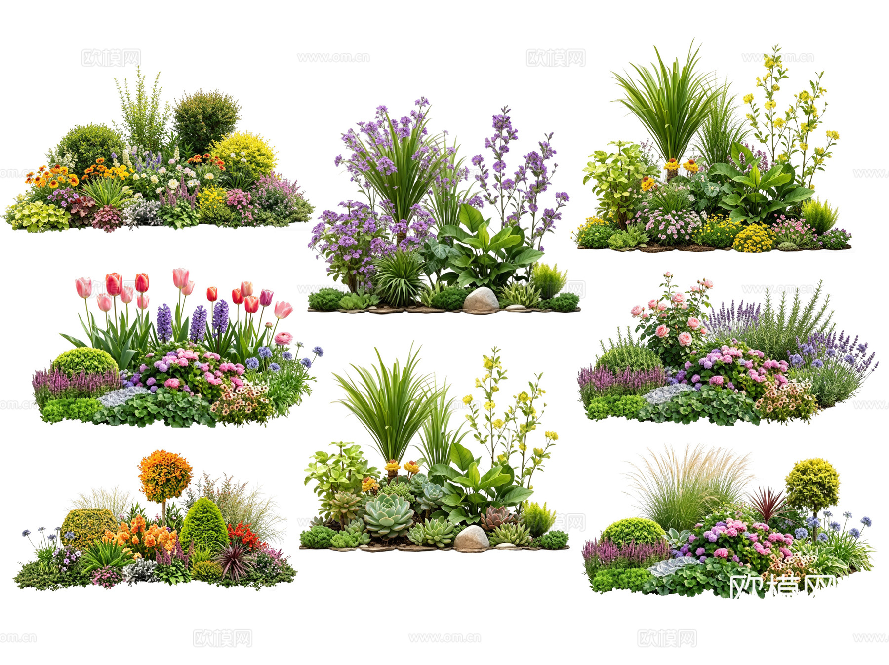 2D花境植物组团 花卉花镜 花草镜植物组合 花草花丛 地被su模型
