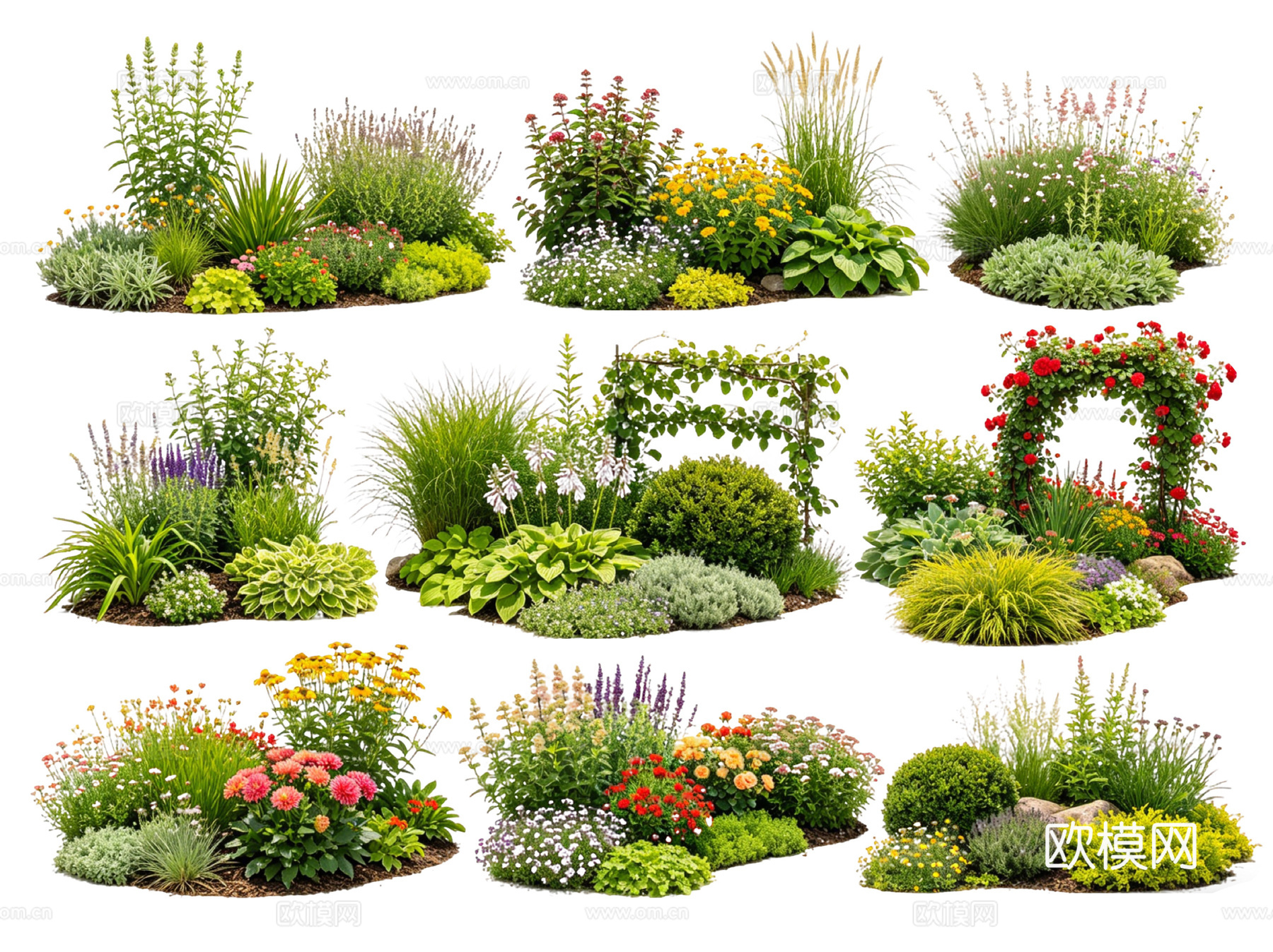 2D花境植物组团 花卉花镜 花草镜植物组合 花草花丛 地被su模型