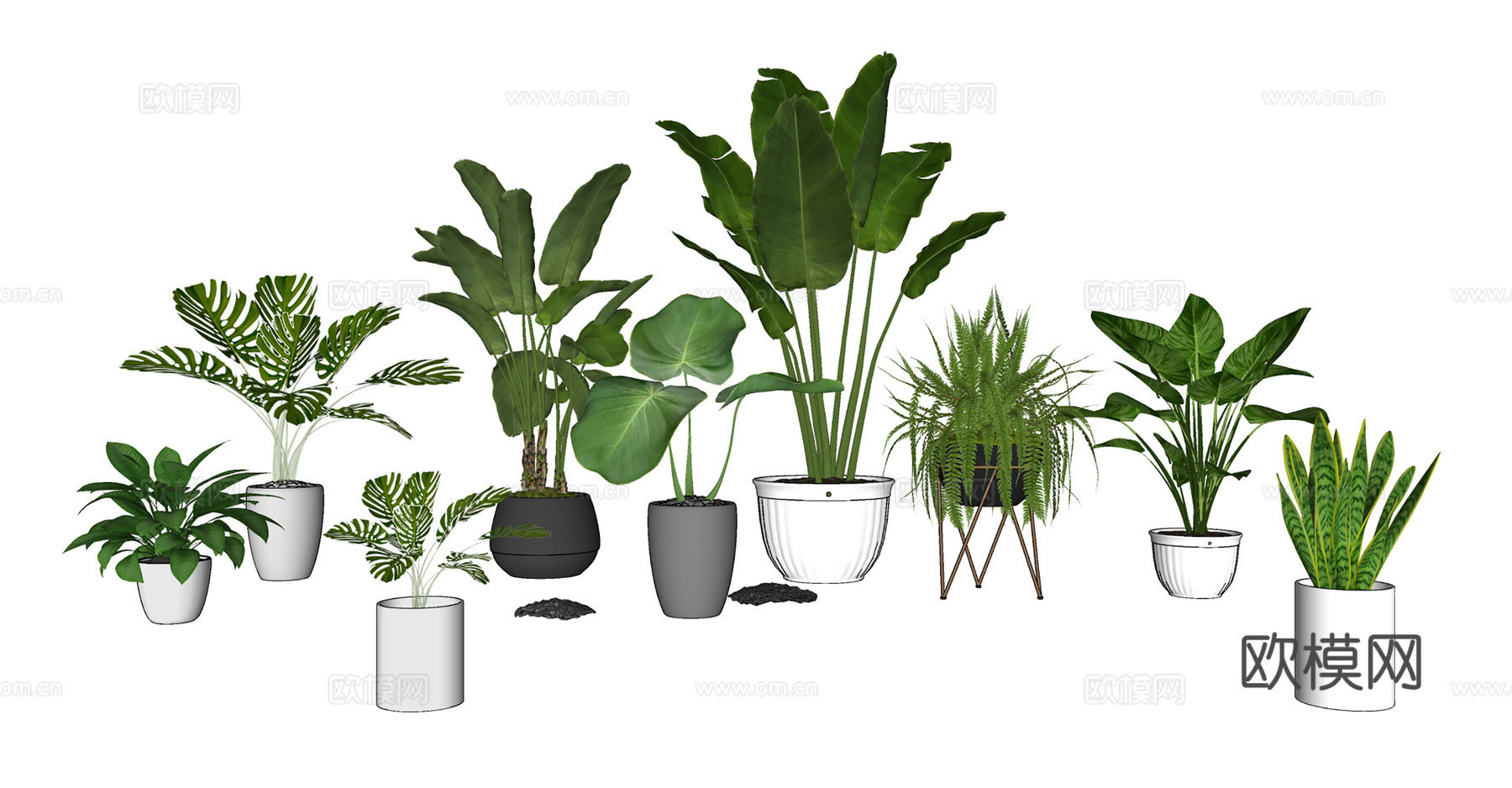 盆栽景观绿植su模型