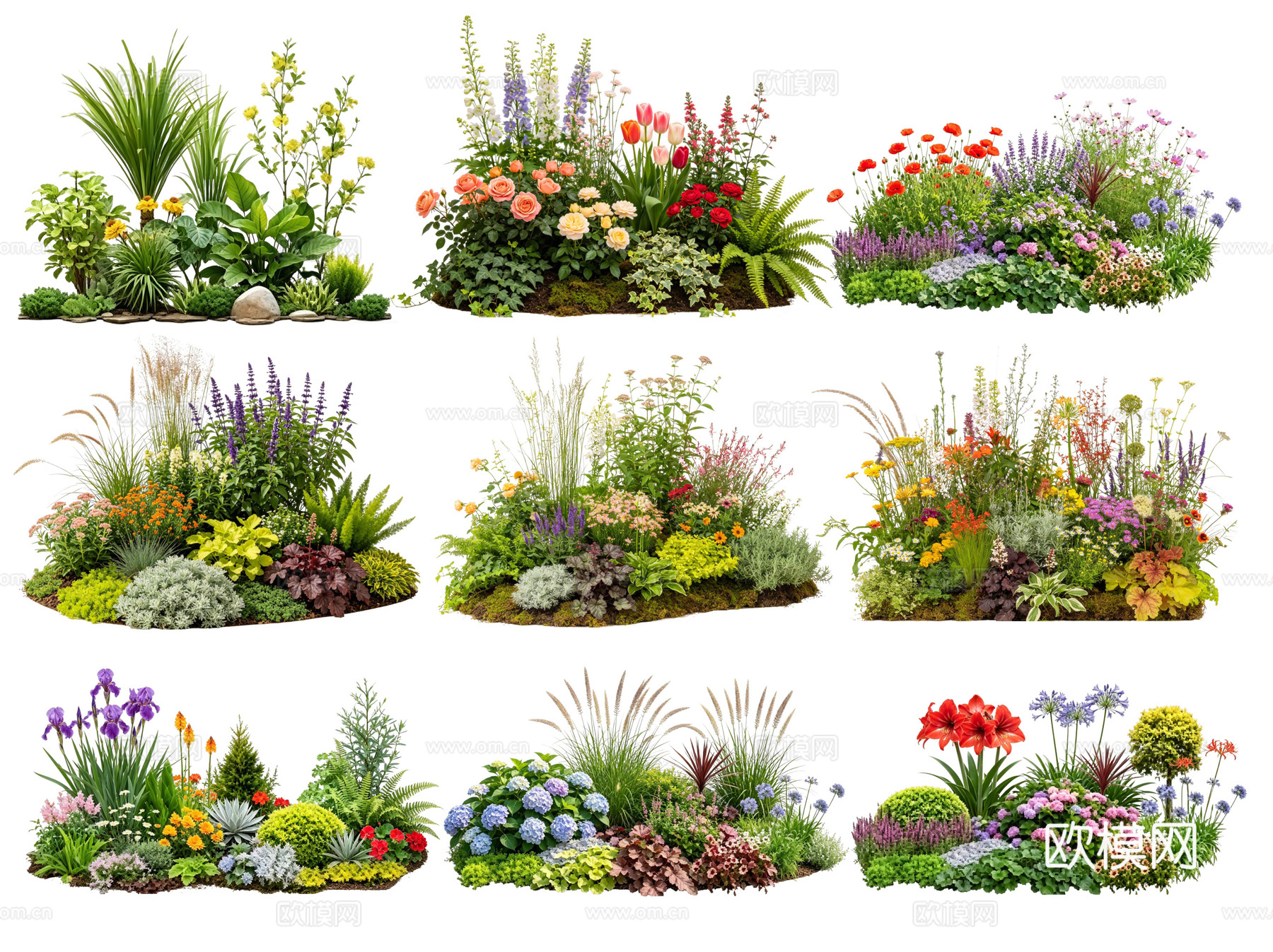 2D花境植物组团 花卉花镜 花草镜植物组合 花草花丛 地被su模型