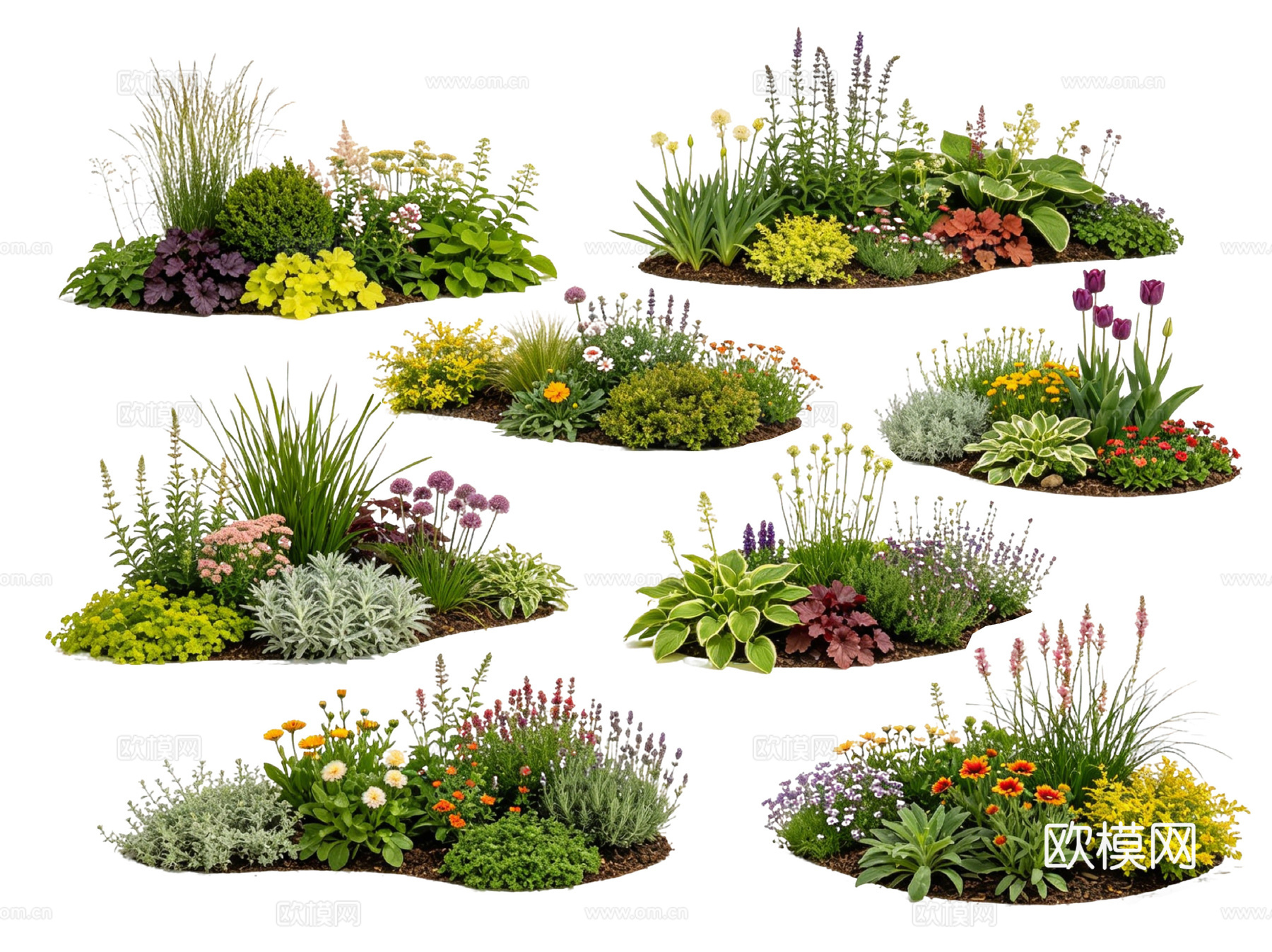 2D花境植物组团 花卉花镜 花草镜植物组合 花草花丛 地被su模型